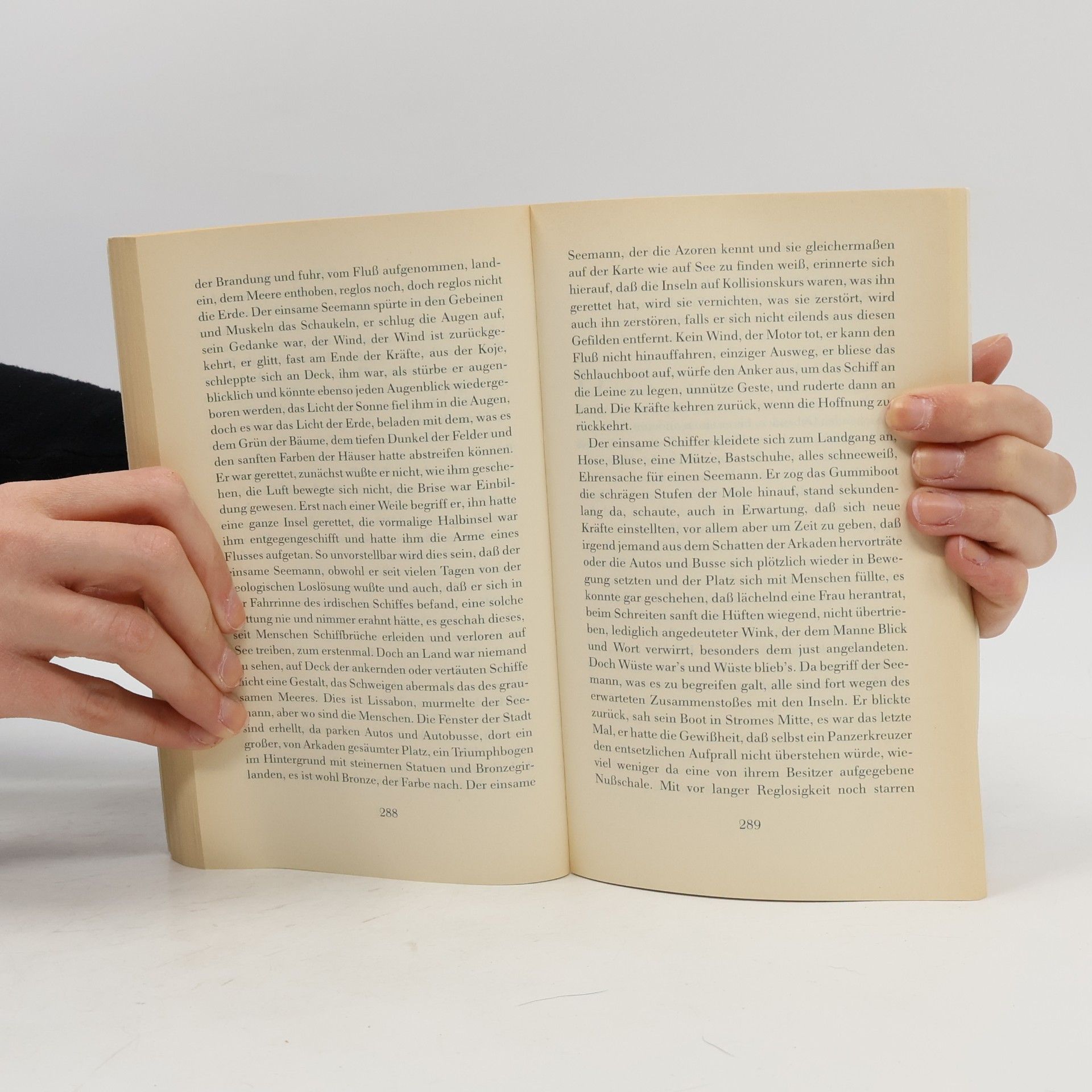 José Saramago Das steinerne Floss