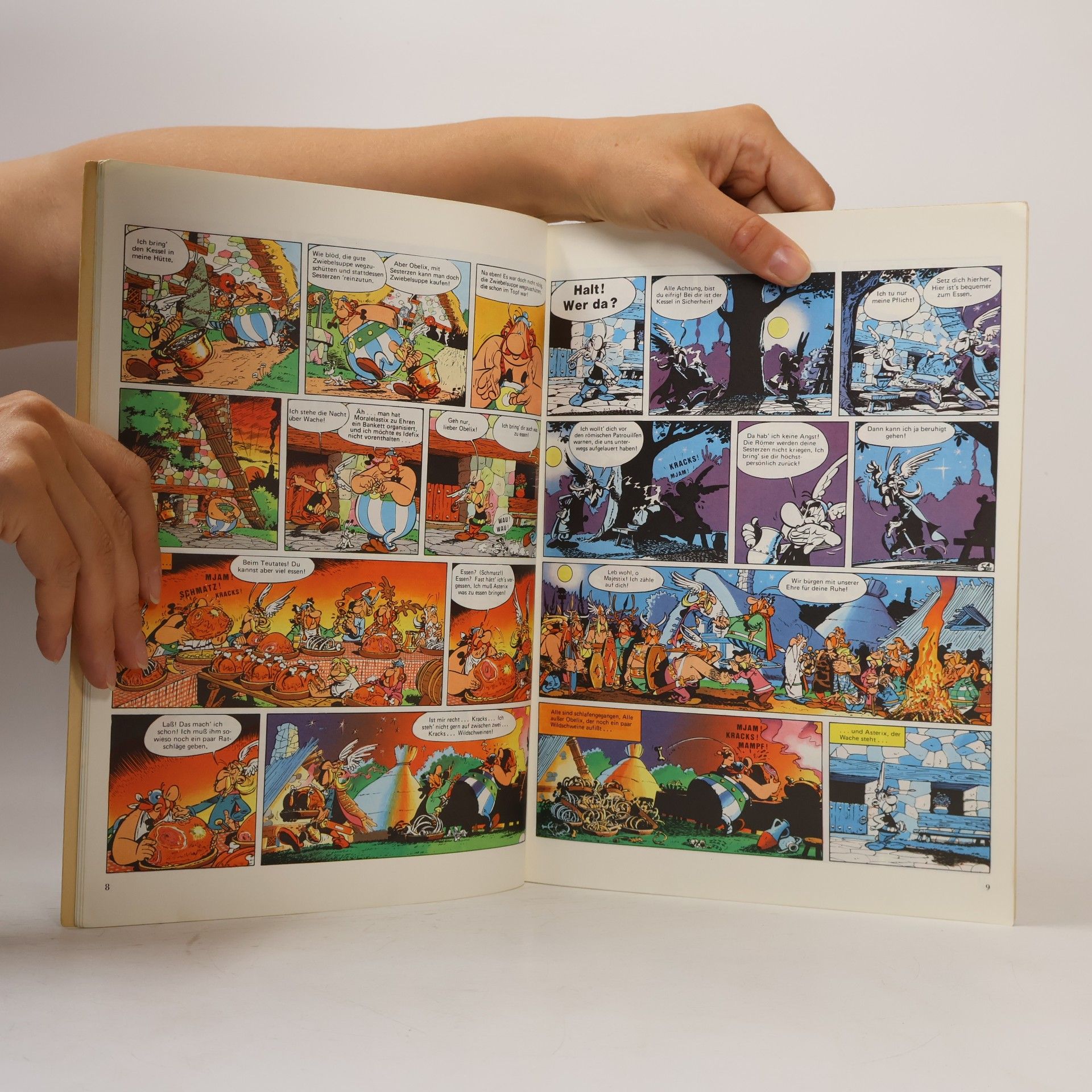 René Goscinny Asterix und der Kupferkessel