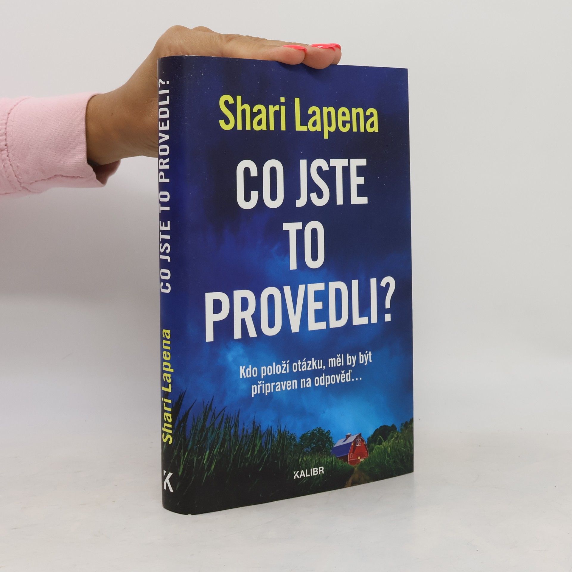 Shari Lapena Co jste to provedli?