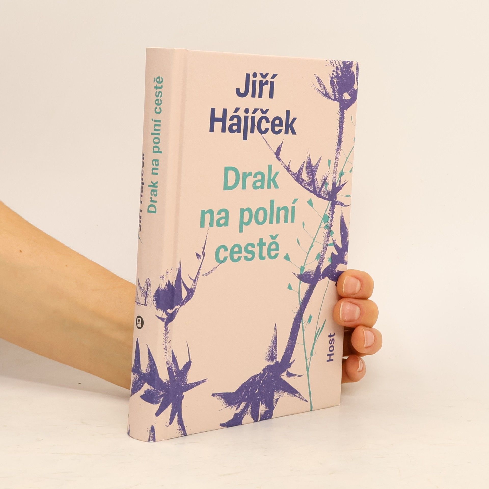 Jiří Hájíček Drak na polní cestě