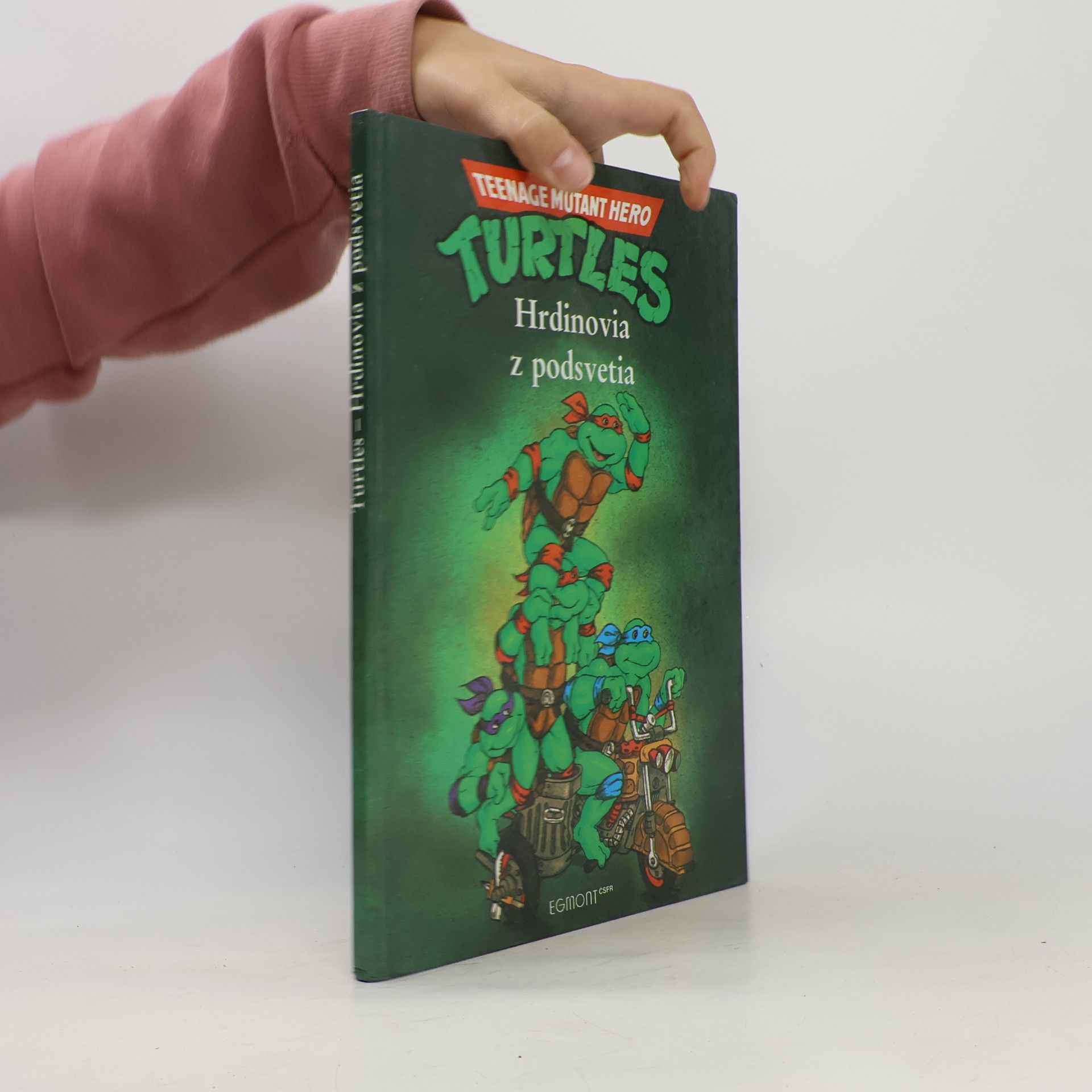 Turtles - Hrdinovia z podsvetia