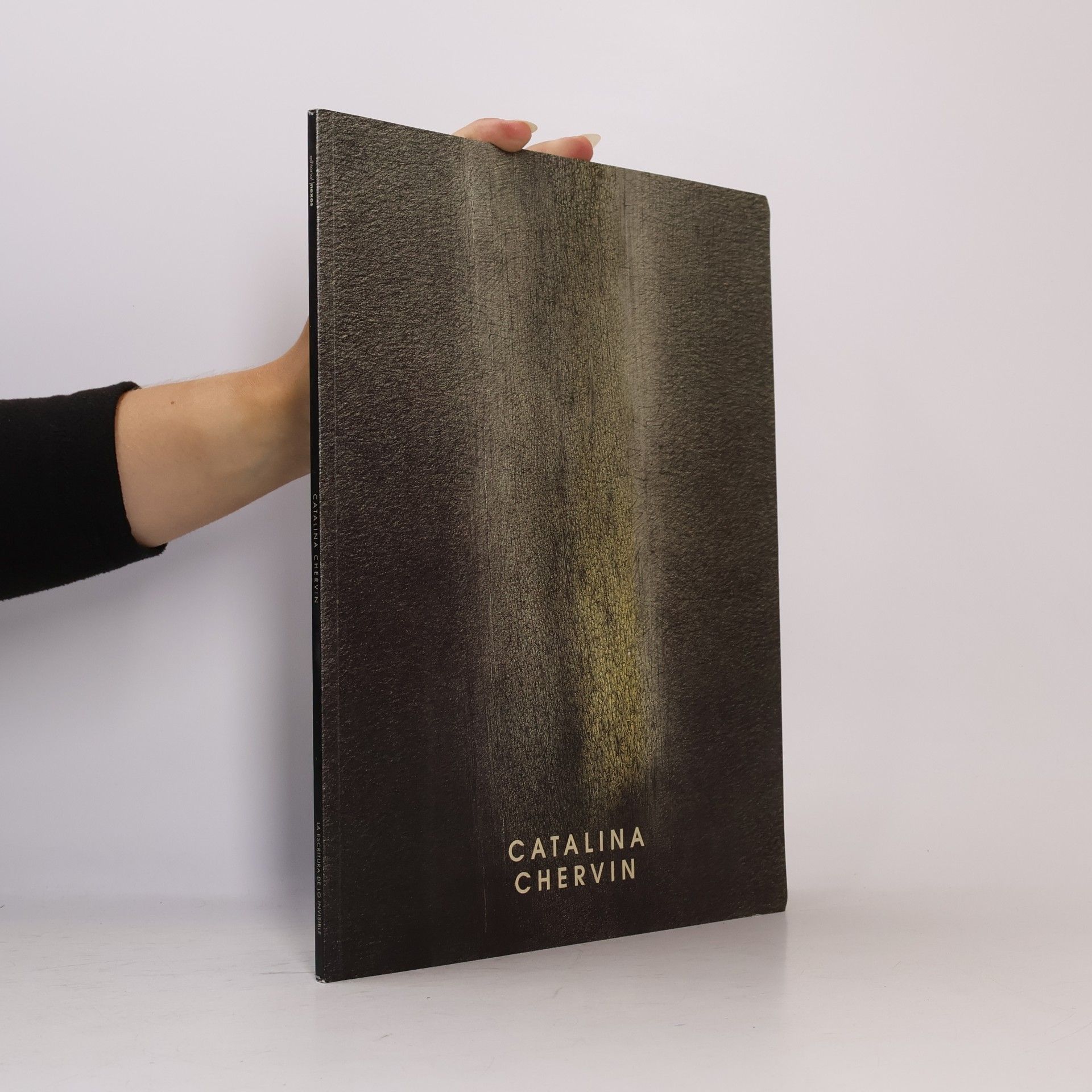 Catalina Chervin La Escritura de lo Invisible