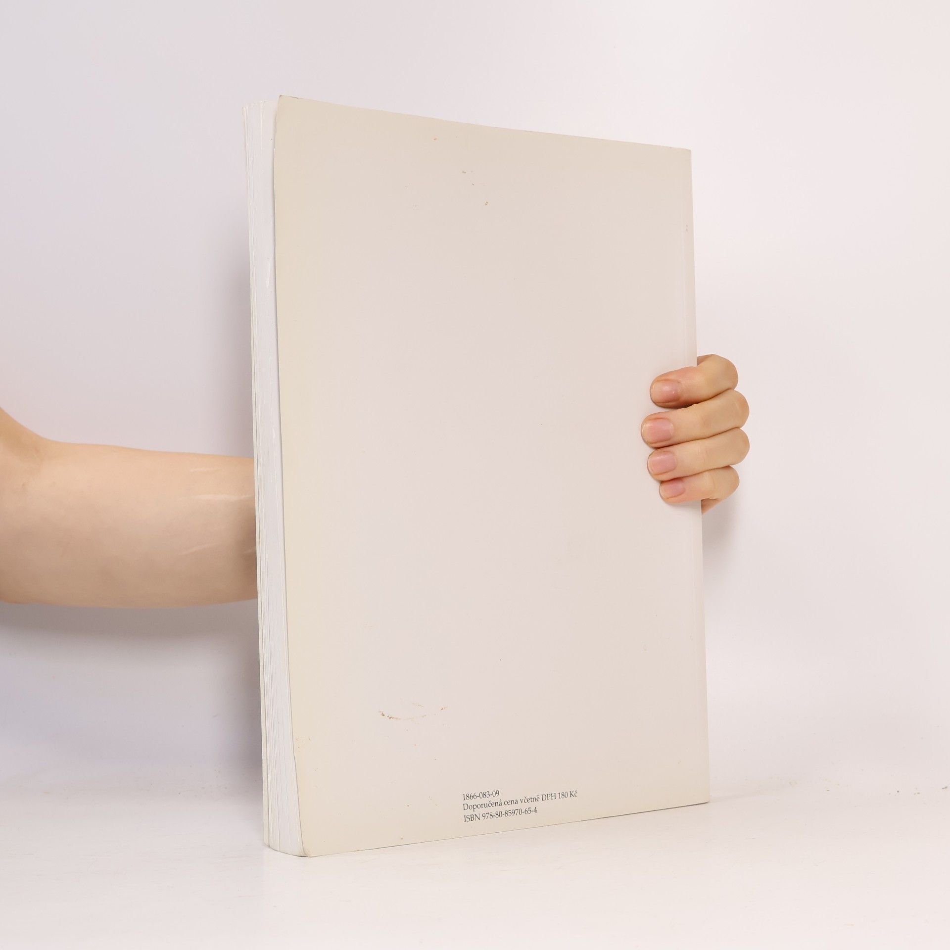 Bohumír Mráz Dějiny výtvarné kultury 1
