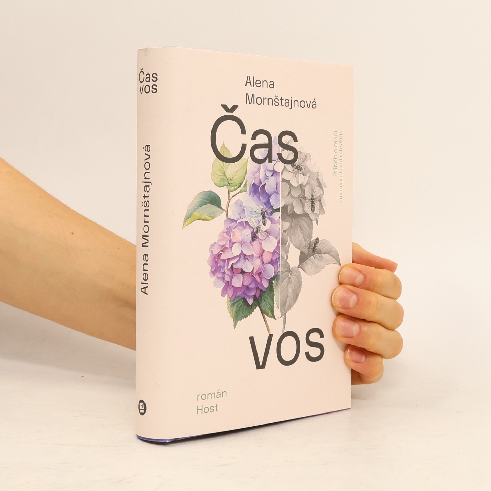 Alena Mornštajnová Čas vos
