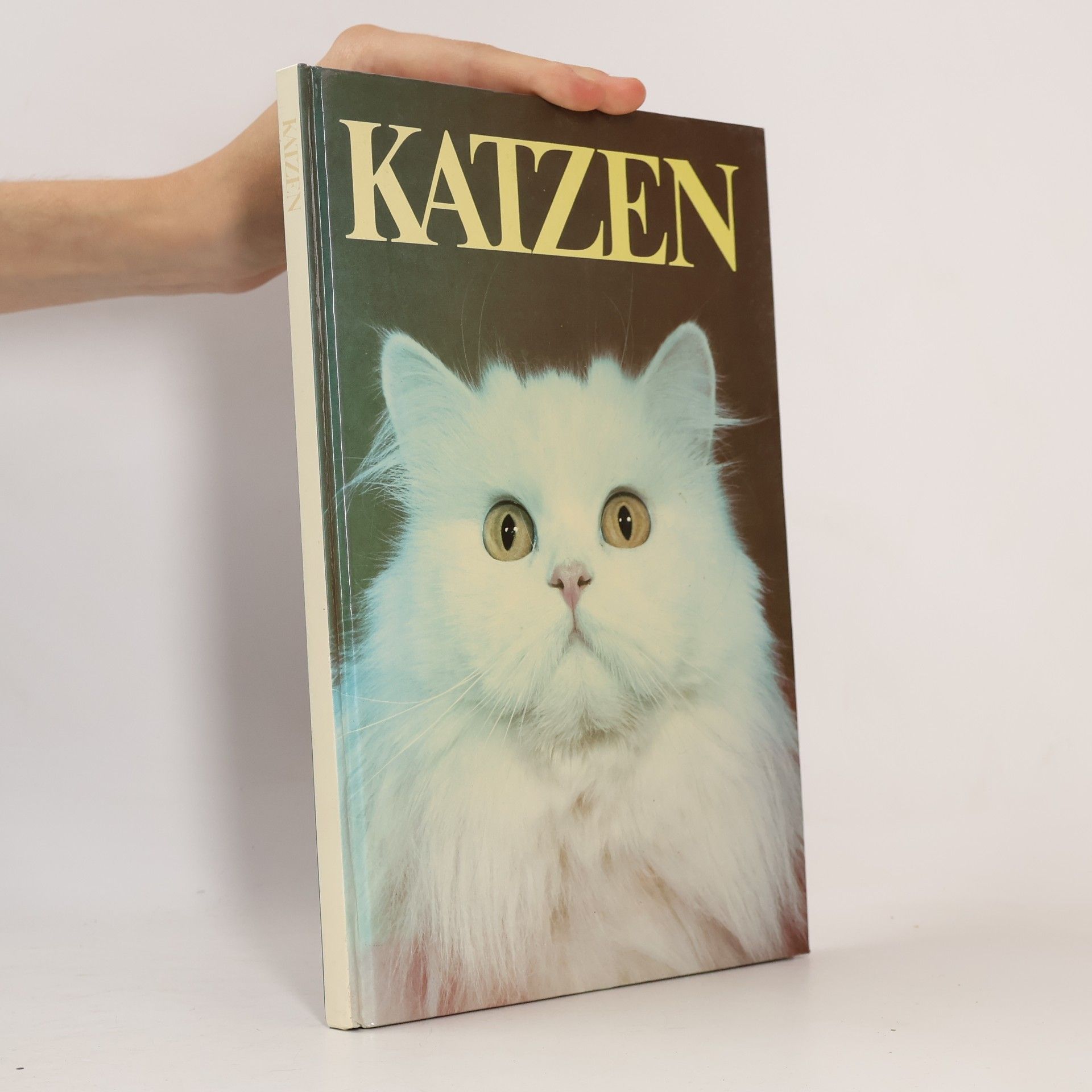 kolektiv Katzen