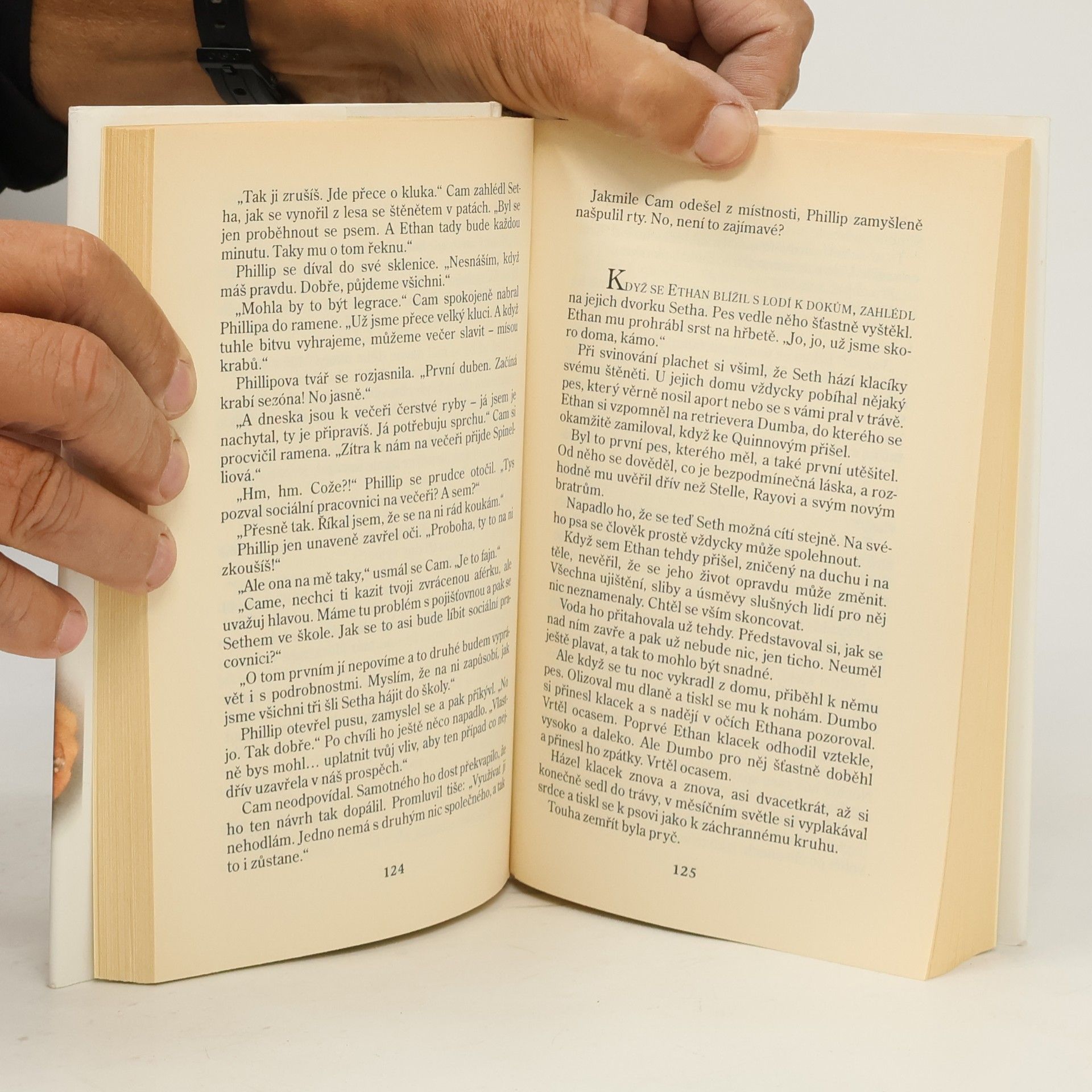 Nora Roberts Past na dobrodruha