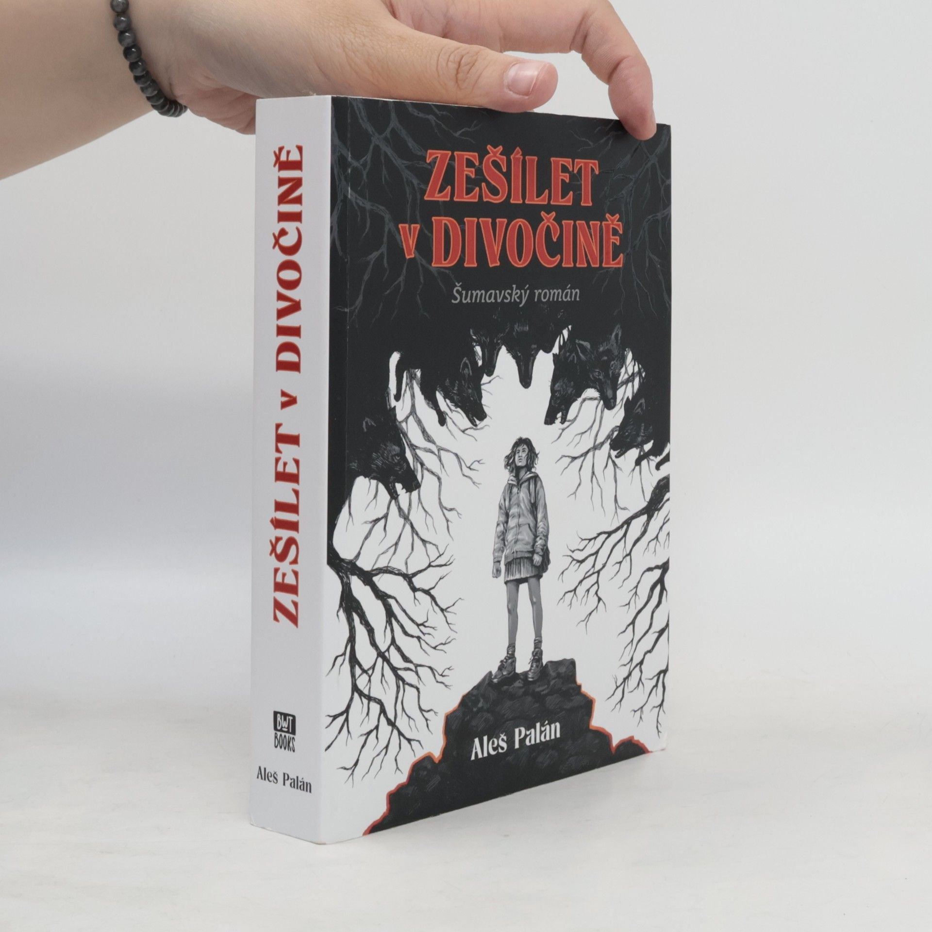 Aleš Palán Zešílet v divočině