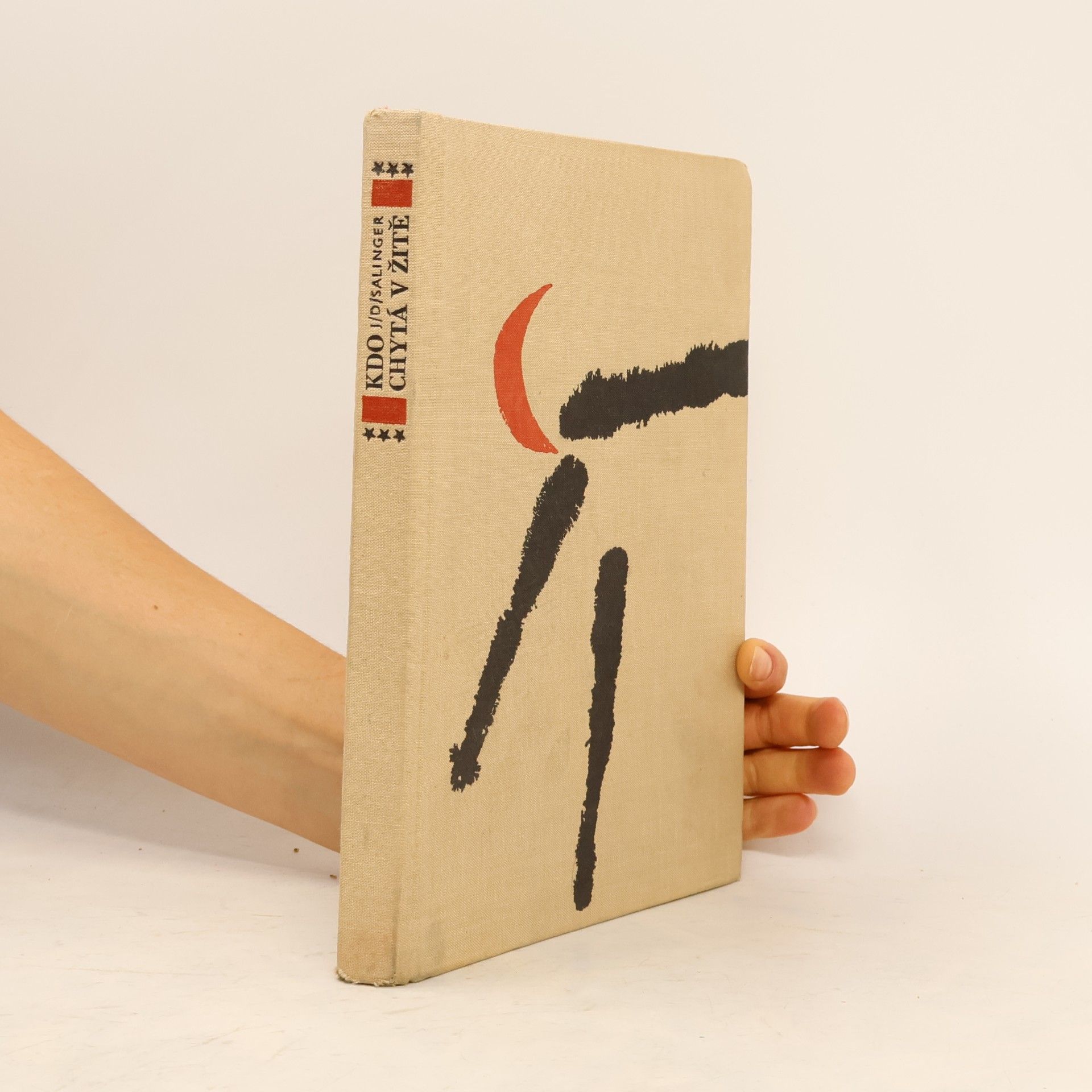 J. D. Salinger Kdo chytá v žitě