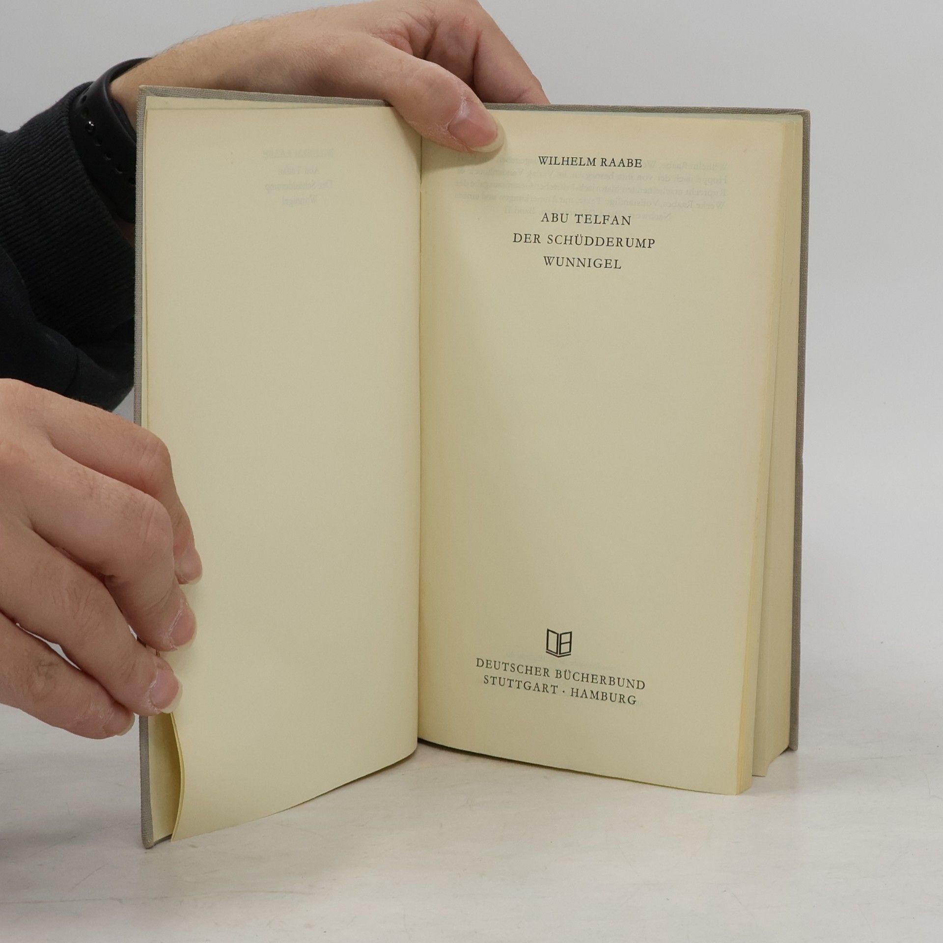 Wilhelm Raabe Abu Telfan der Schüdderump Wunnigel