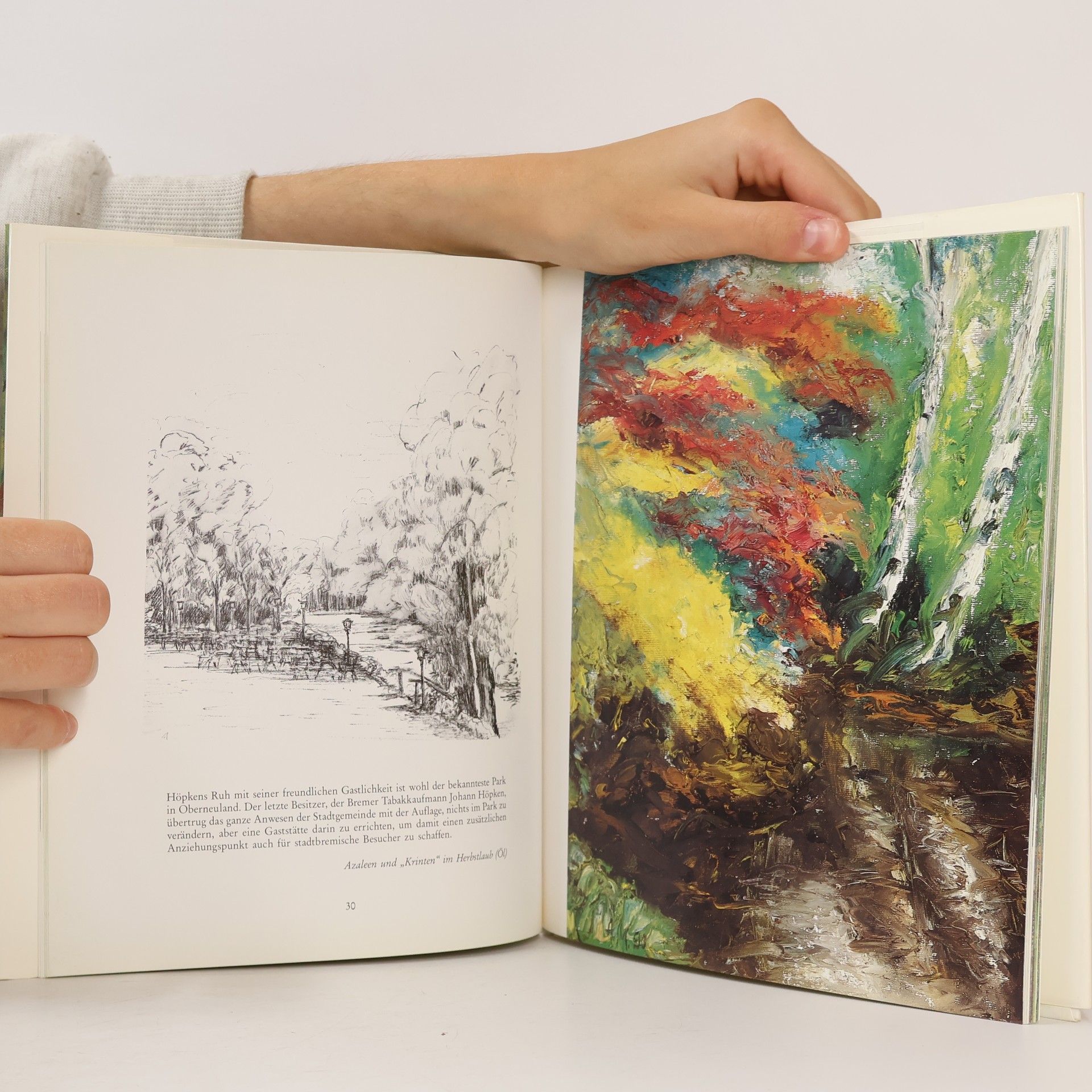 Annemarie Mevissen Alte Parks am Rande der Stadt Bremen