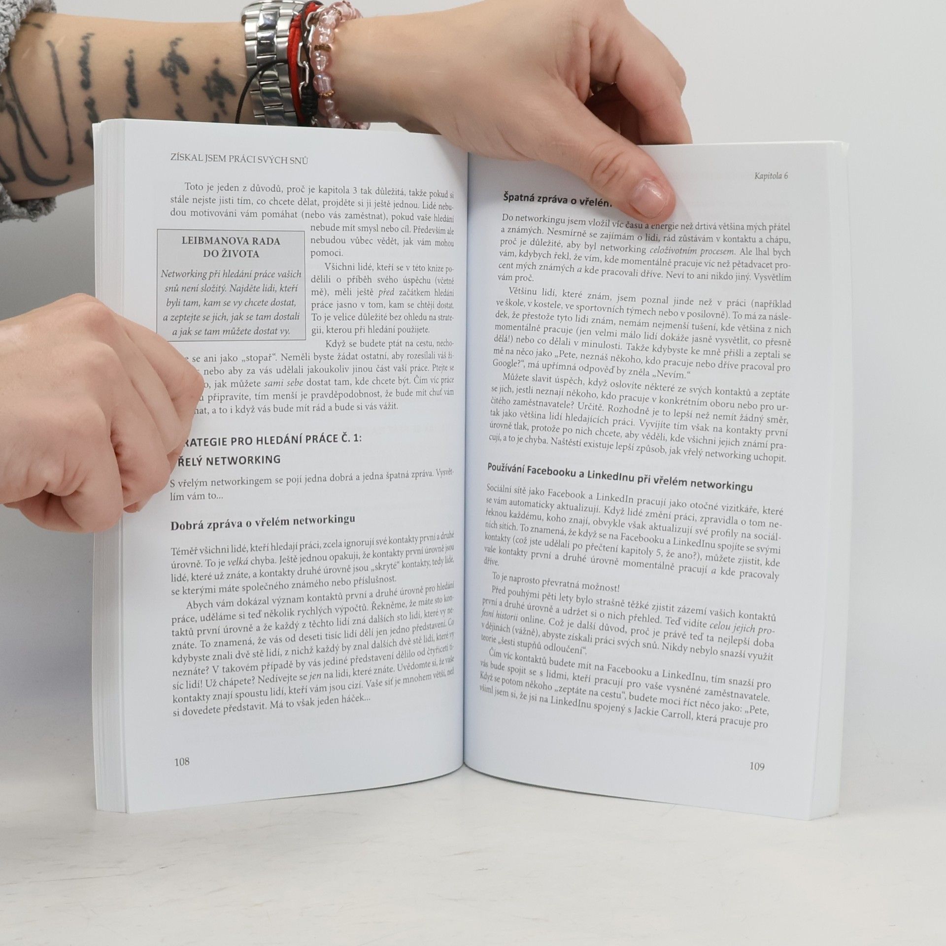 Pete Leibman Získal jsem práci svých snů : a totéž můžete i vy