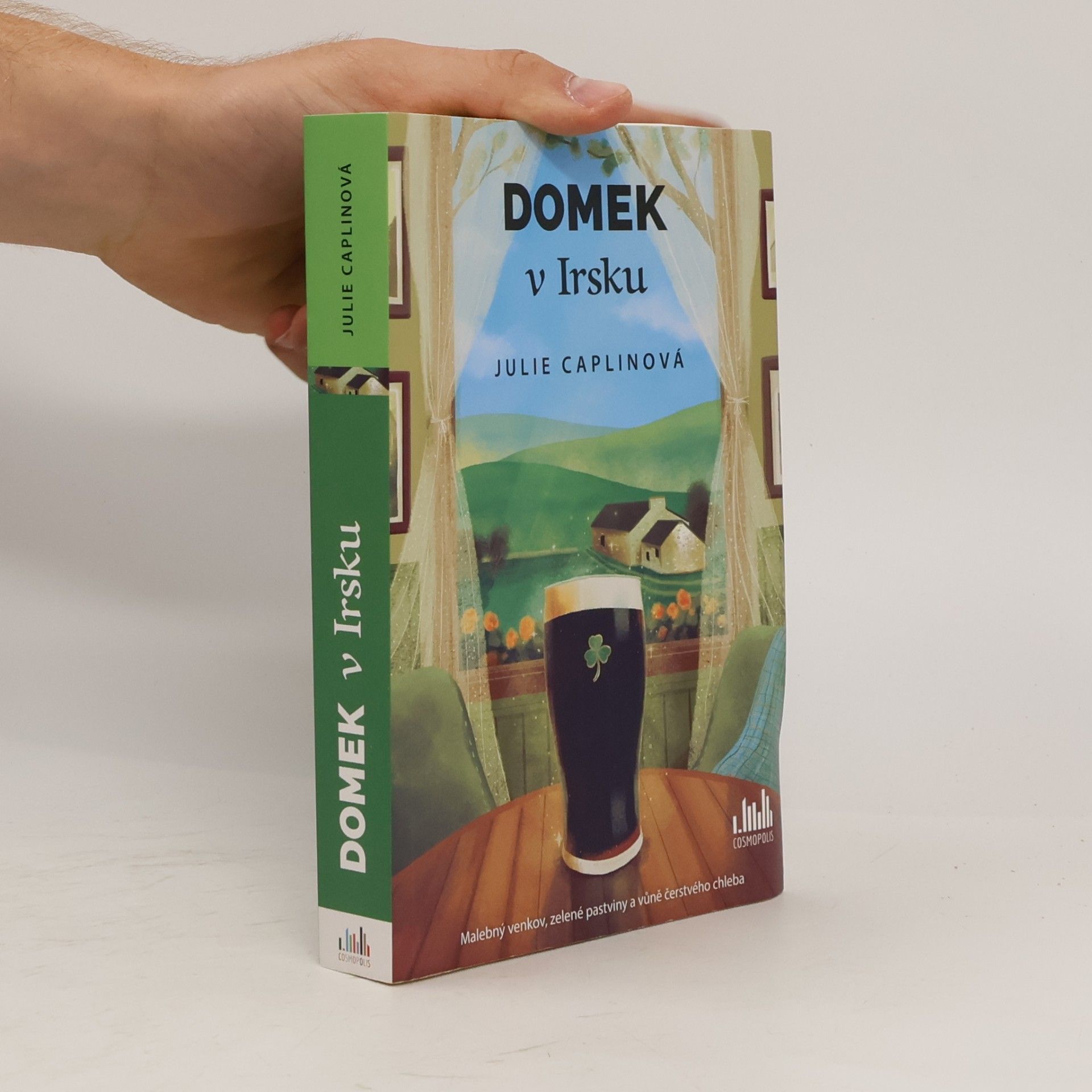Julie Caplin Domek v Irsku
