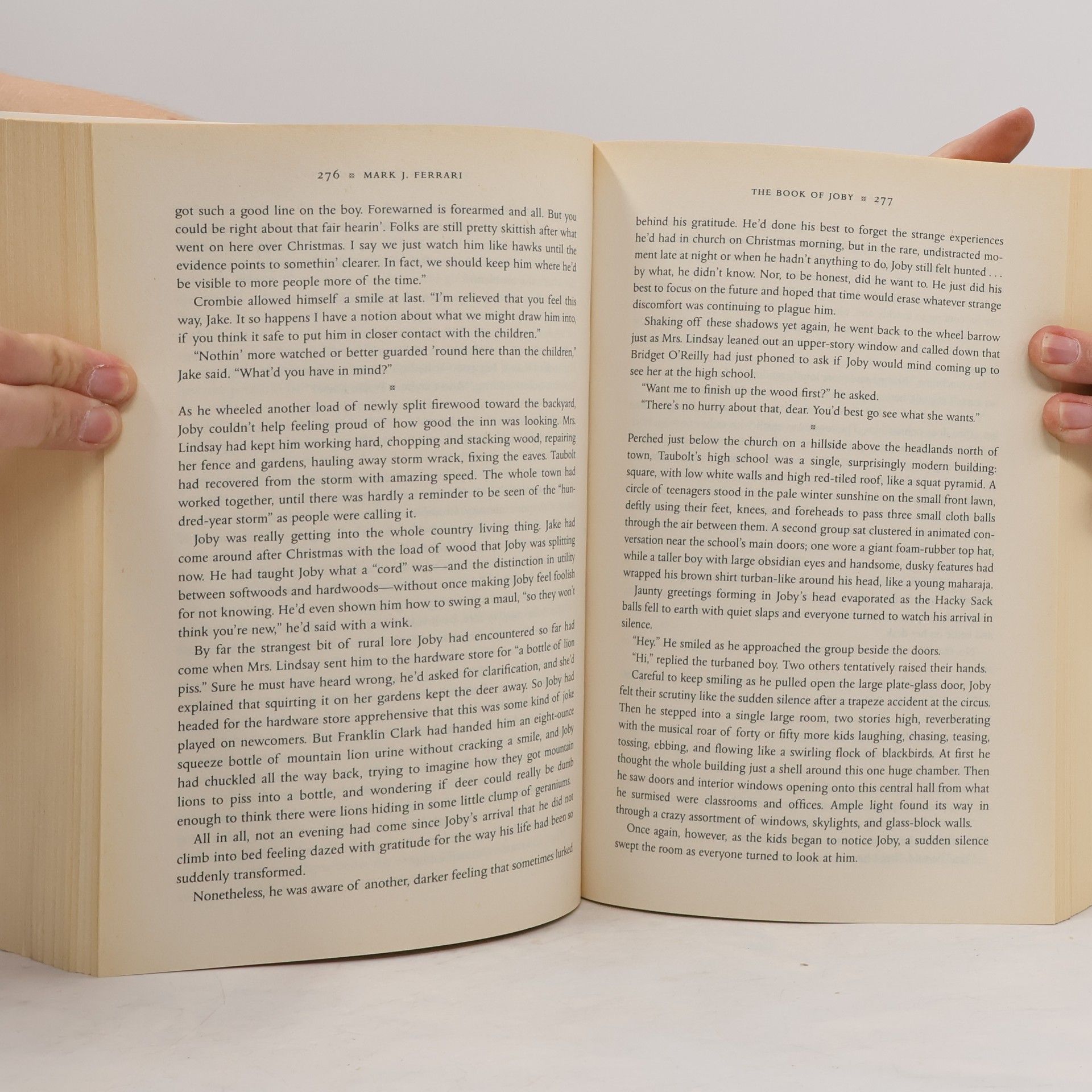 Mark J. Ferrari The Book of Joby