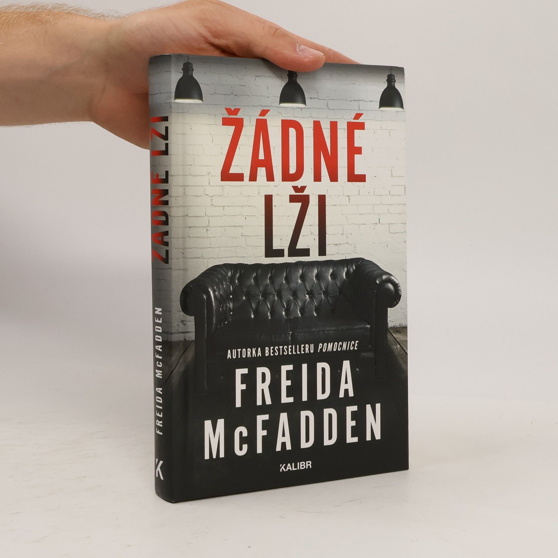 Freida McFadden Žádné lži