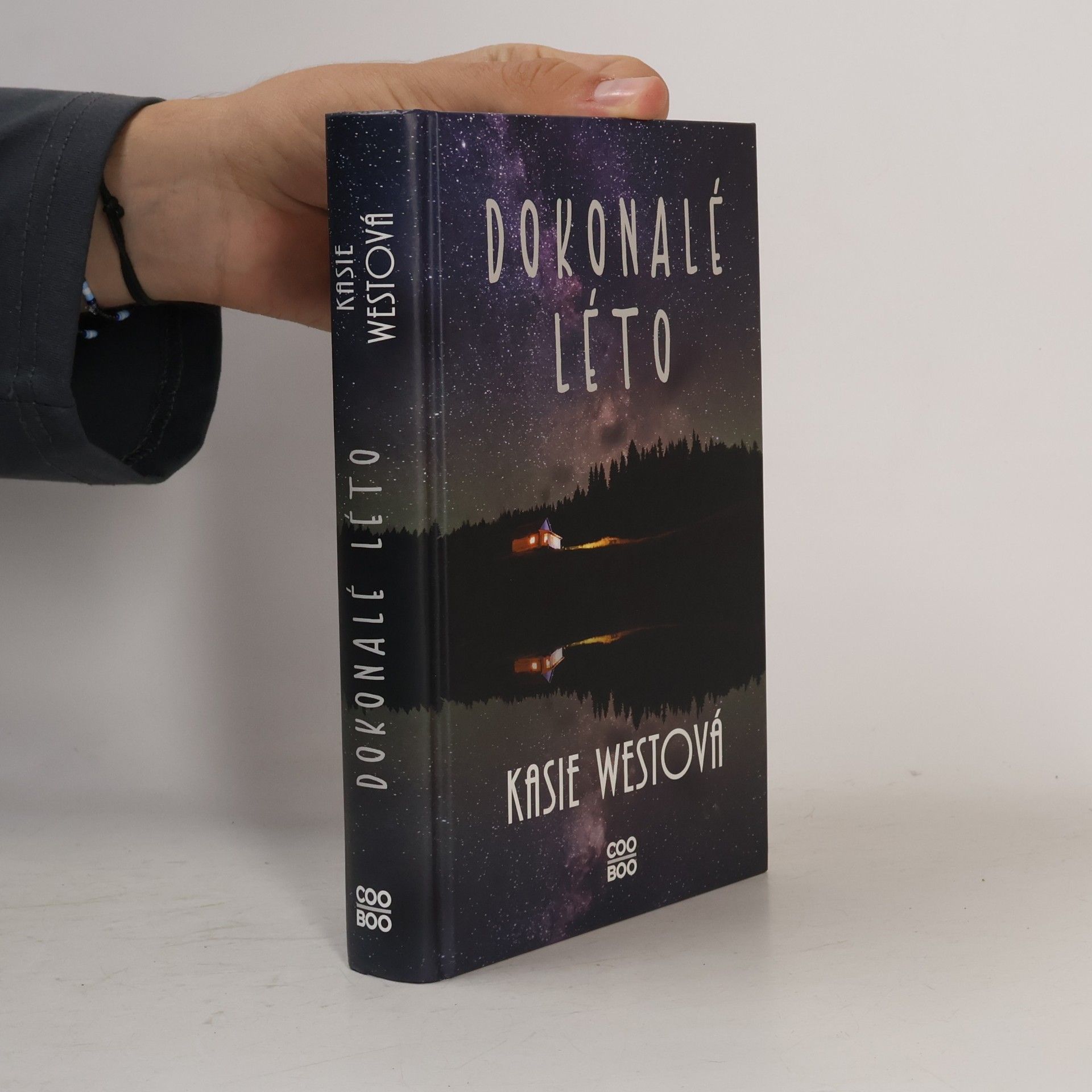 Kasie West Dokonalé léto
