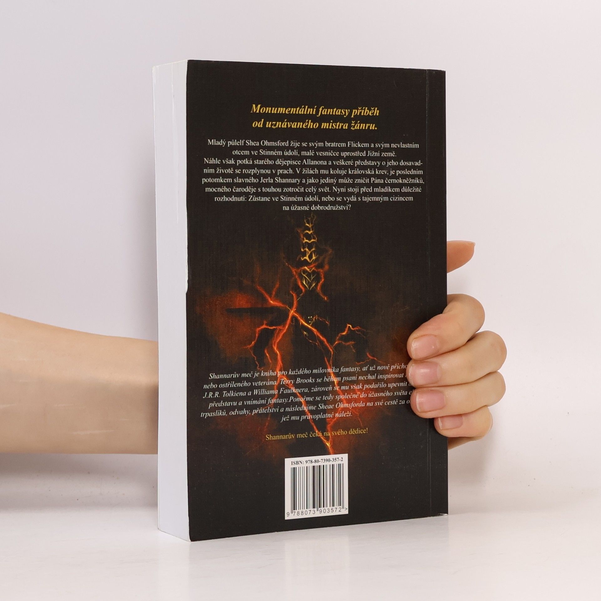Terry Brooks Shannarův meč