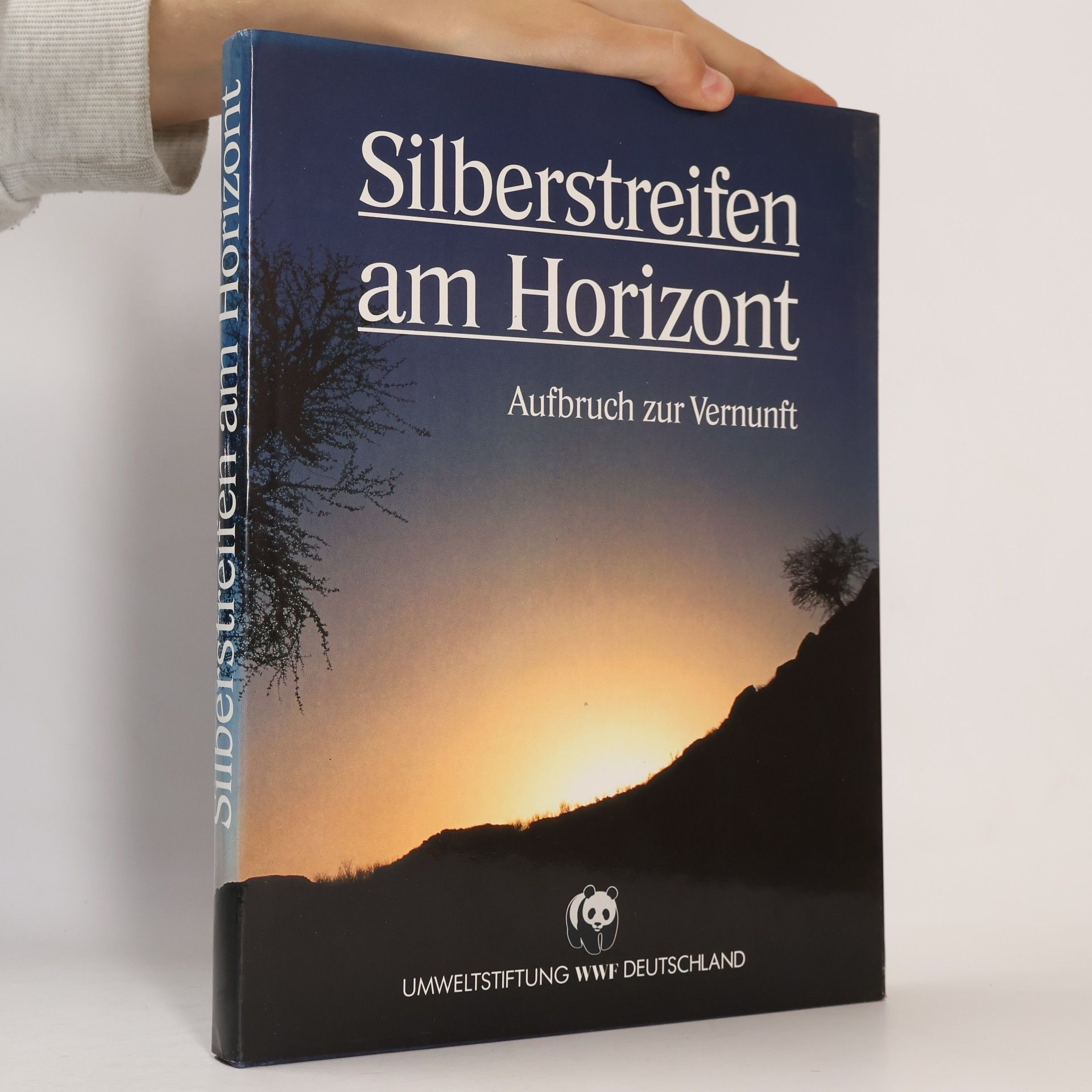 Collectif d'auteurs Silberstreifen am Horizont