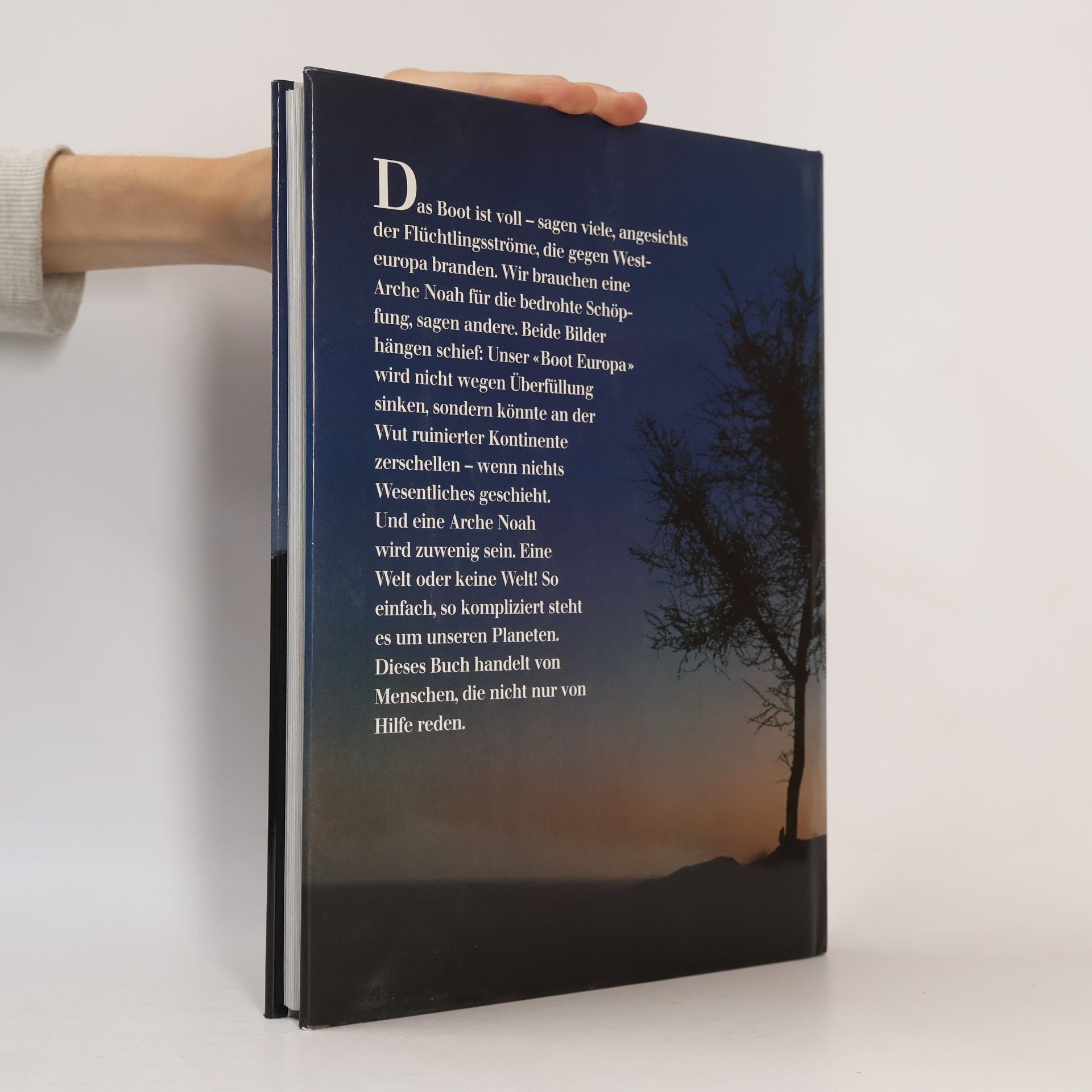 Autorenkollektiv Silberstreifen am Horizont