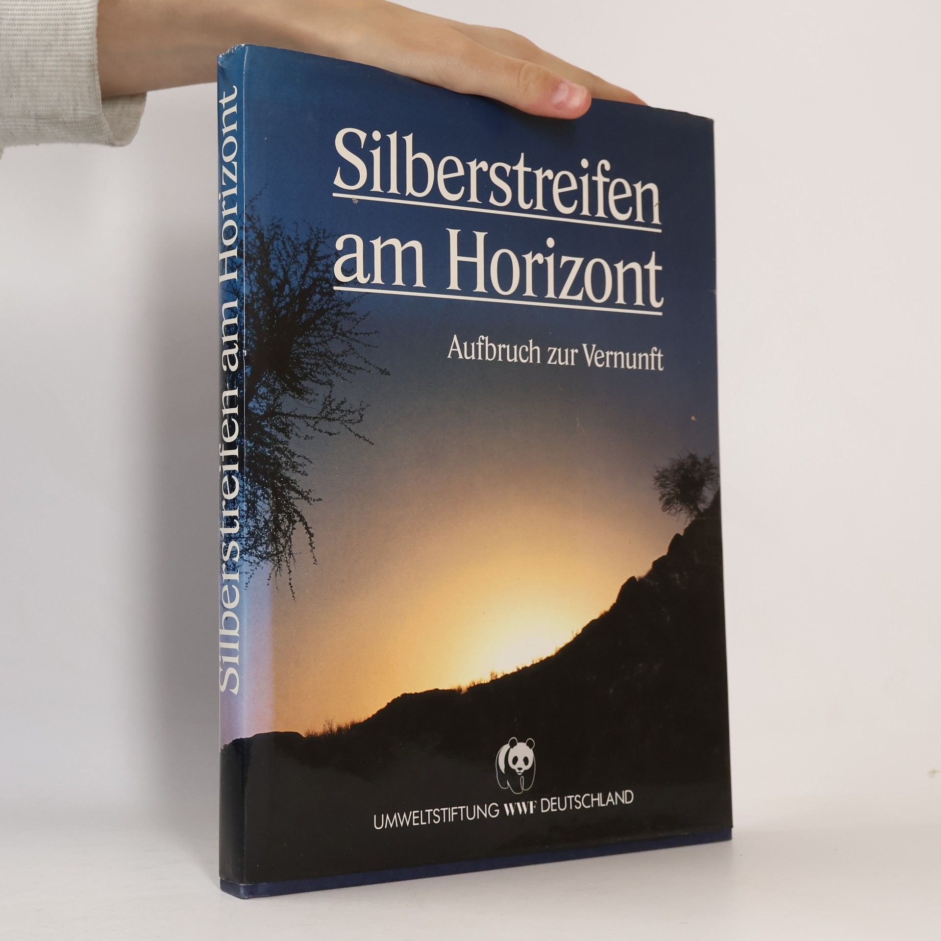 Autores varios Silberstreifen am Horizont