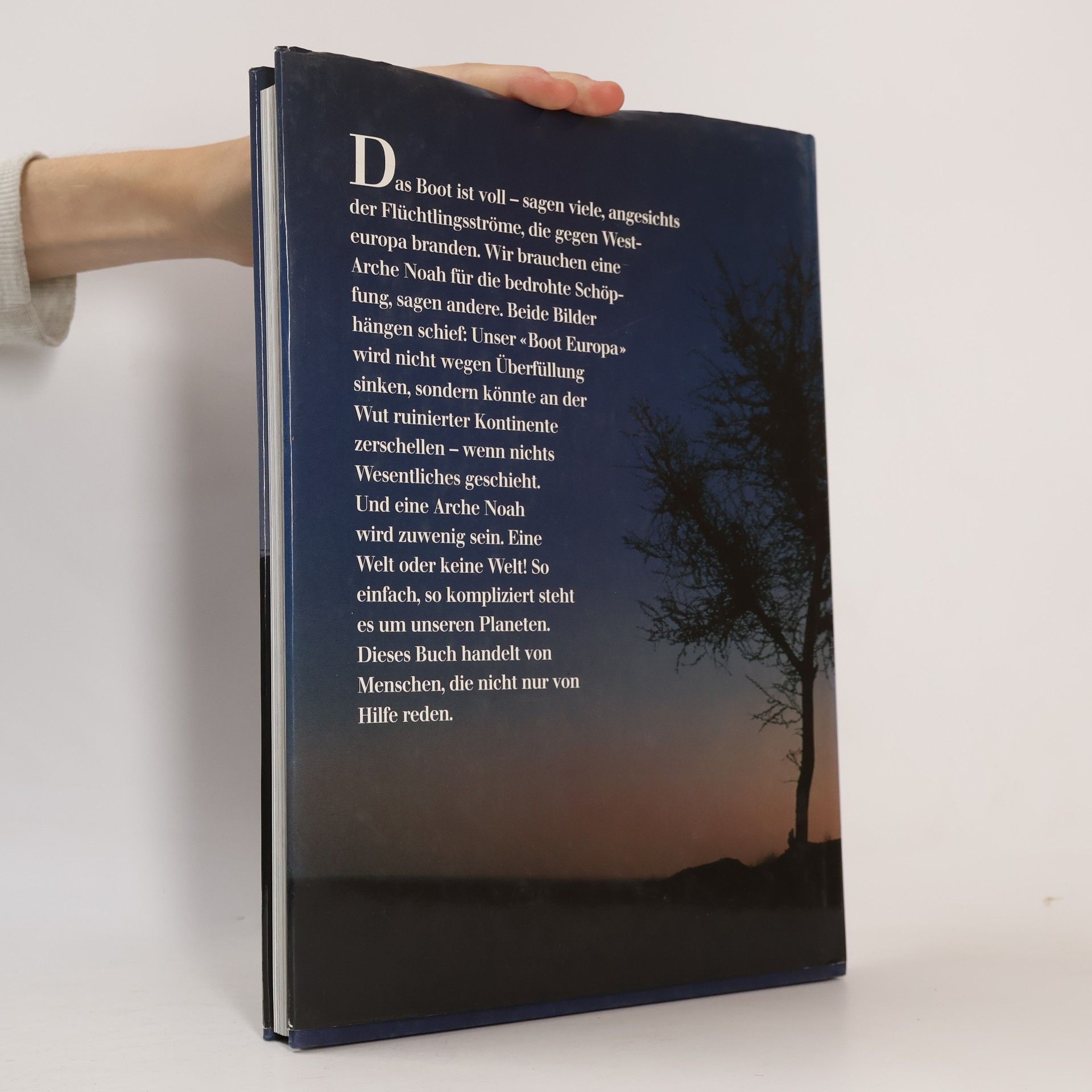 Autores varios Silberstreifen am Horizont