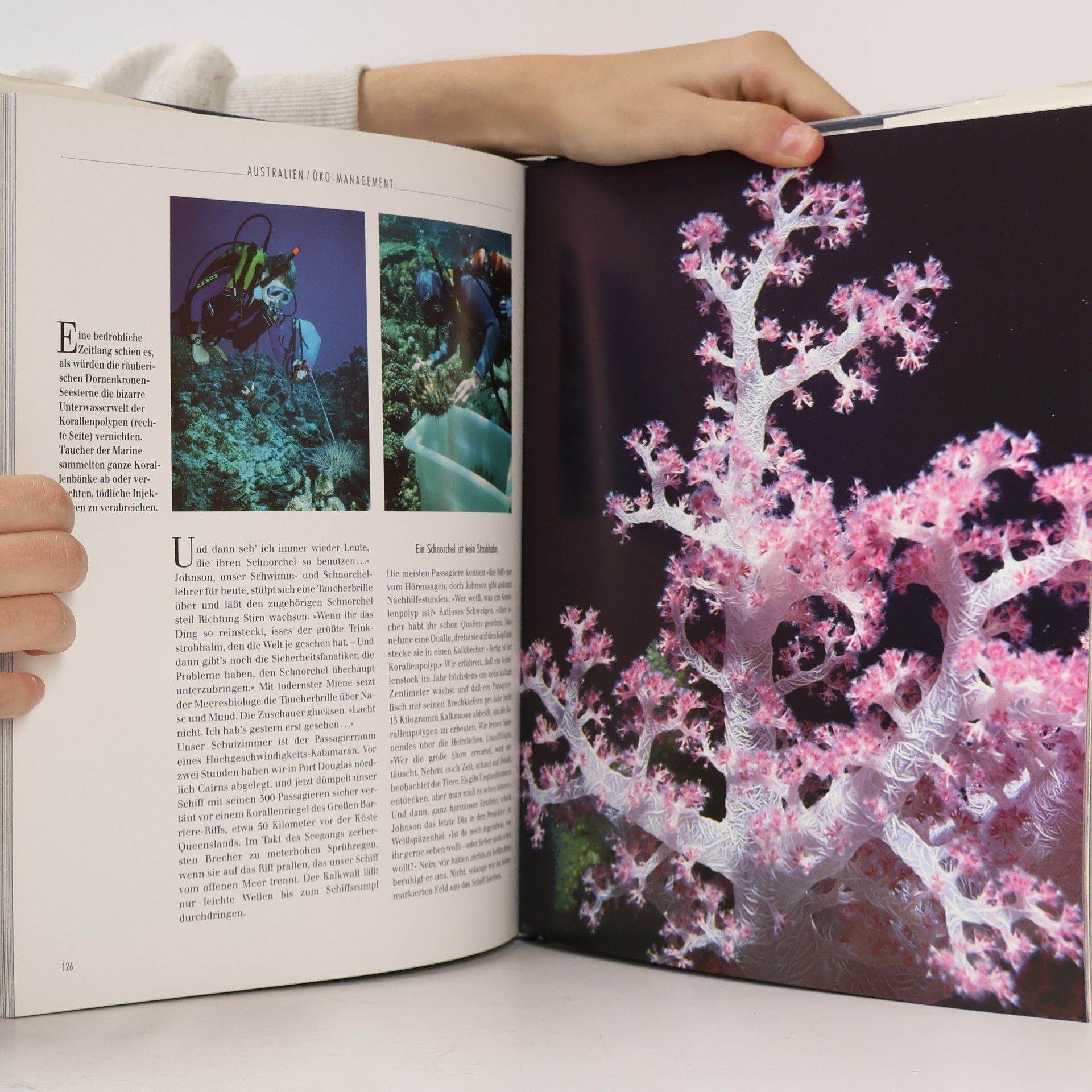 Autores varios Silberstreifen am Horizont