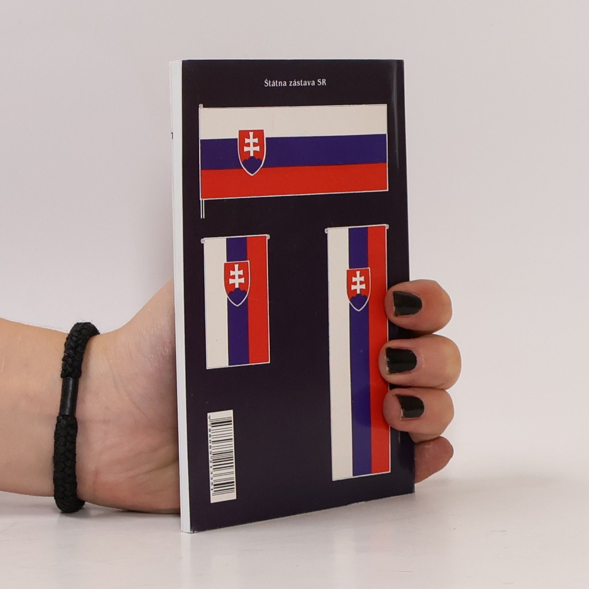 Kolektiv autorů Ústava Slovenskej republiky
