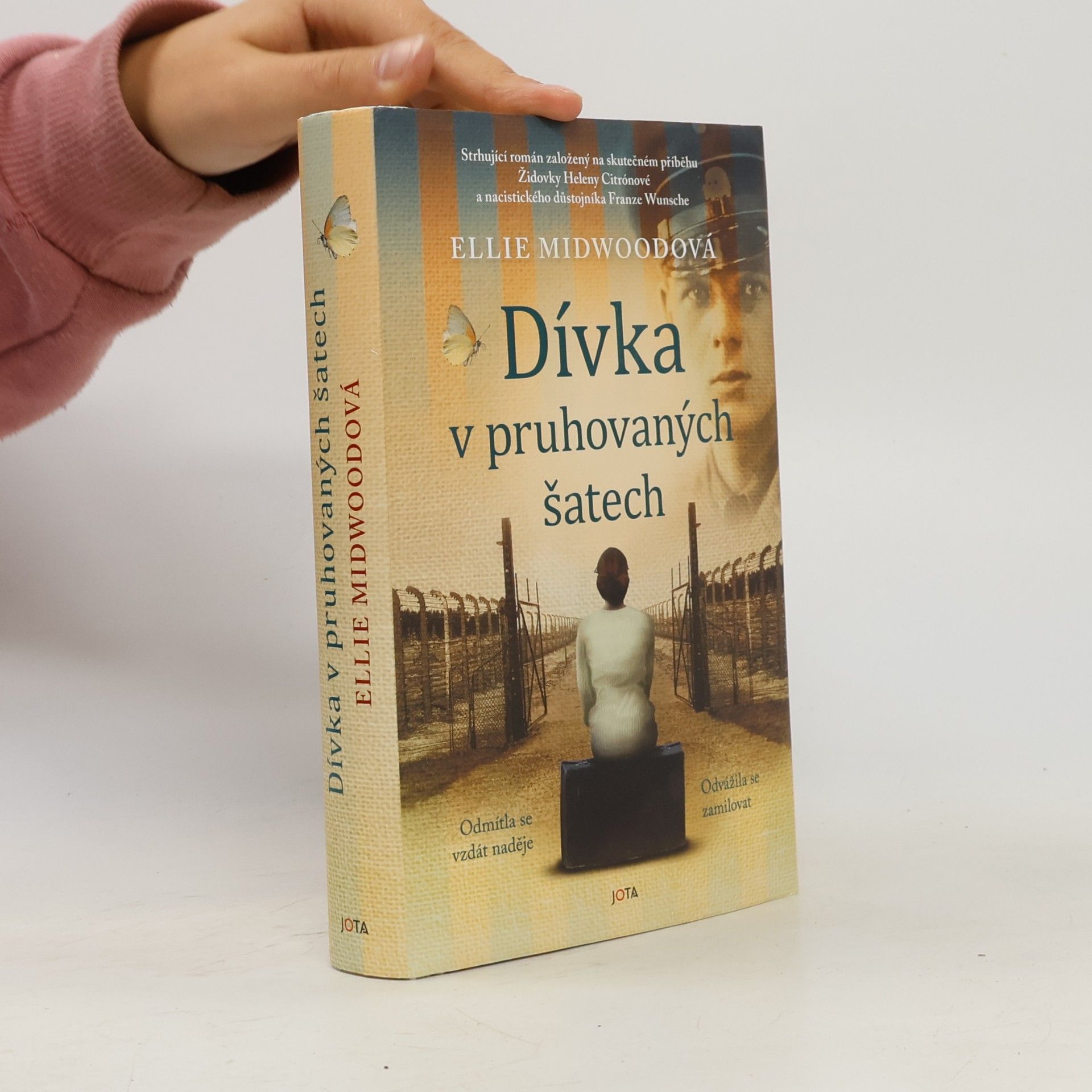 Ellie Midwood Dívka v pruhovaných šatech