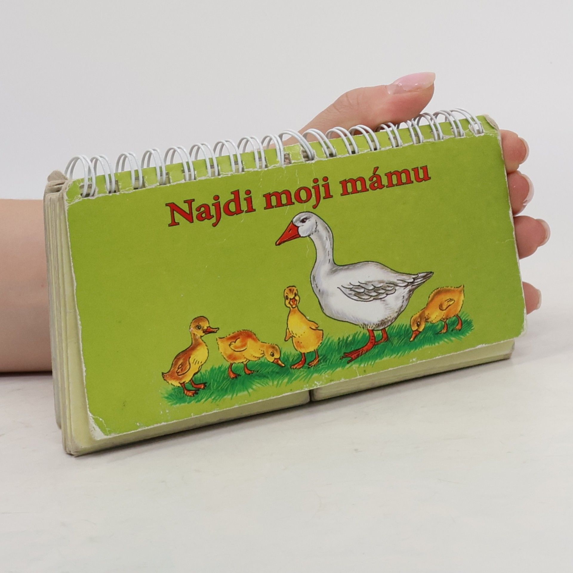 Antonín Šplíchal Najdi moji mámu