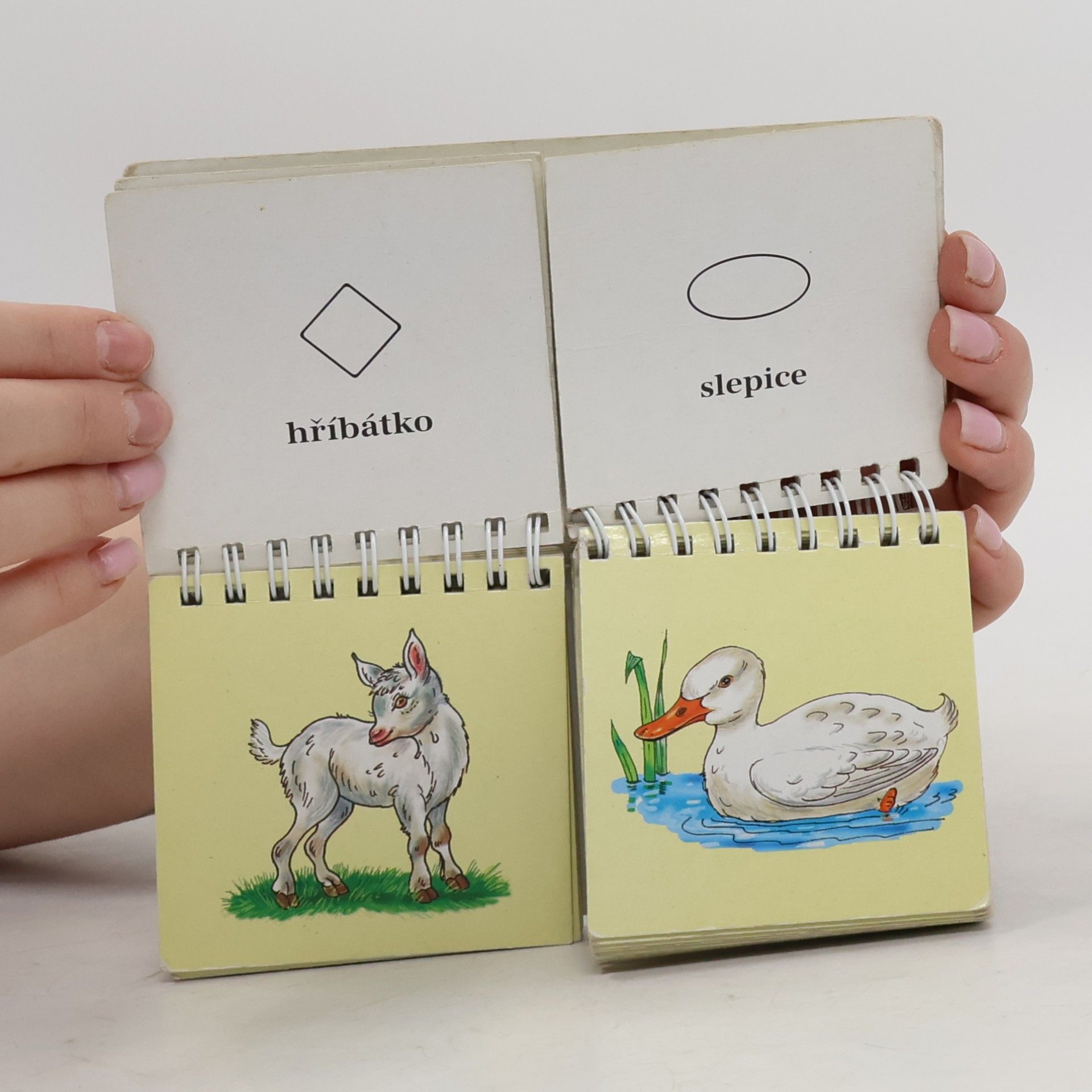 Antonín Šplíchal Najdi moji mámu