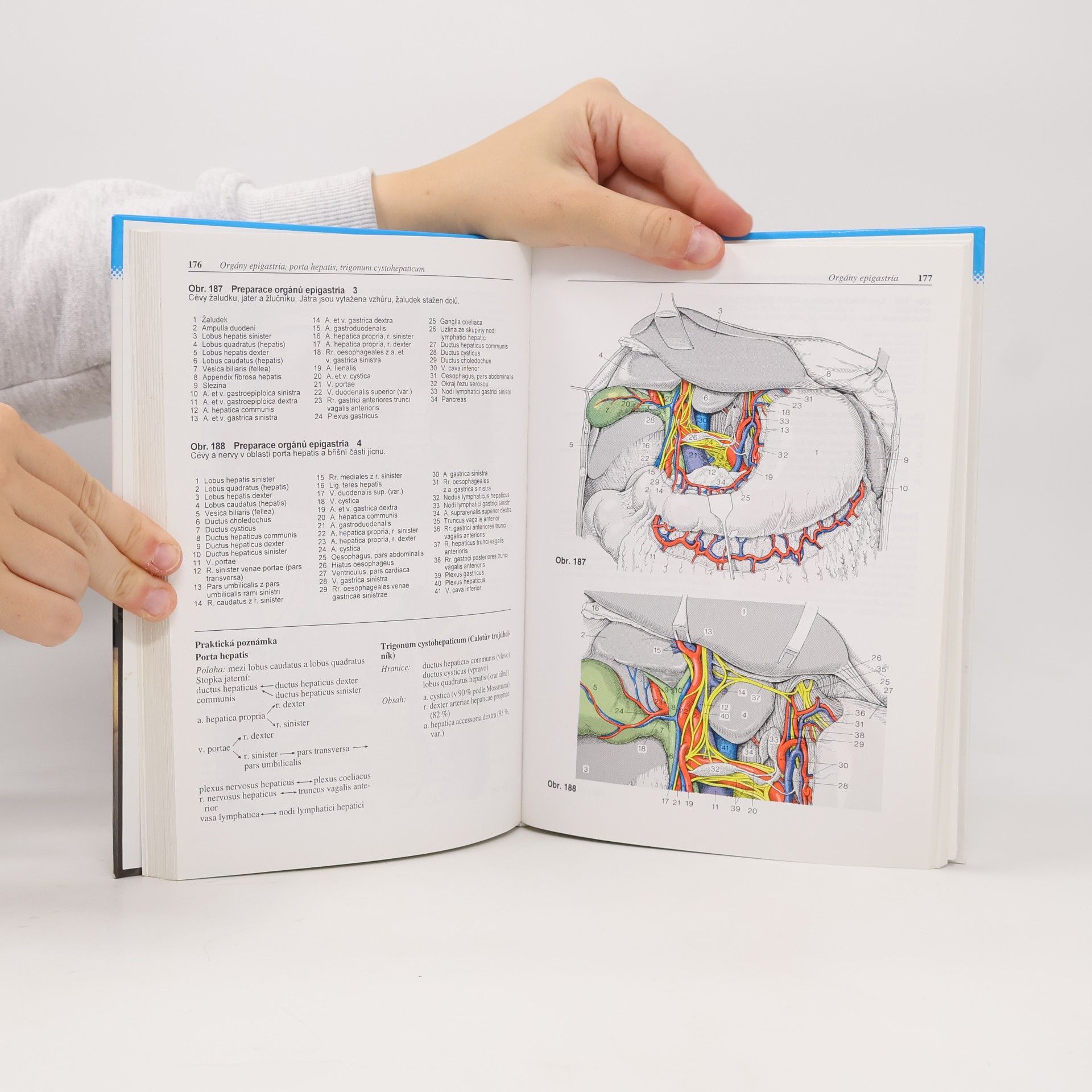 Gerhard Spitzer Atlas topografické anatomie