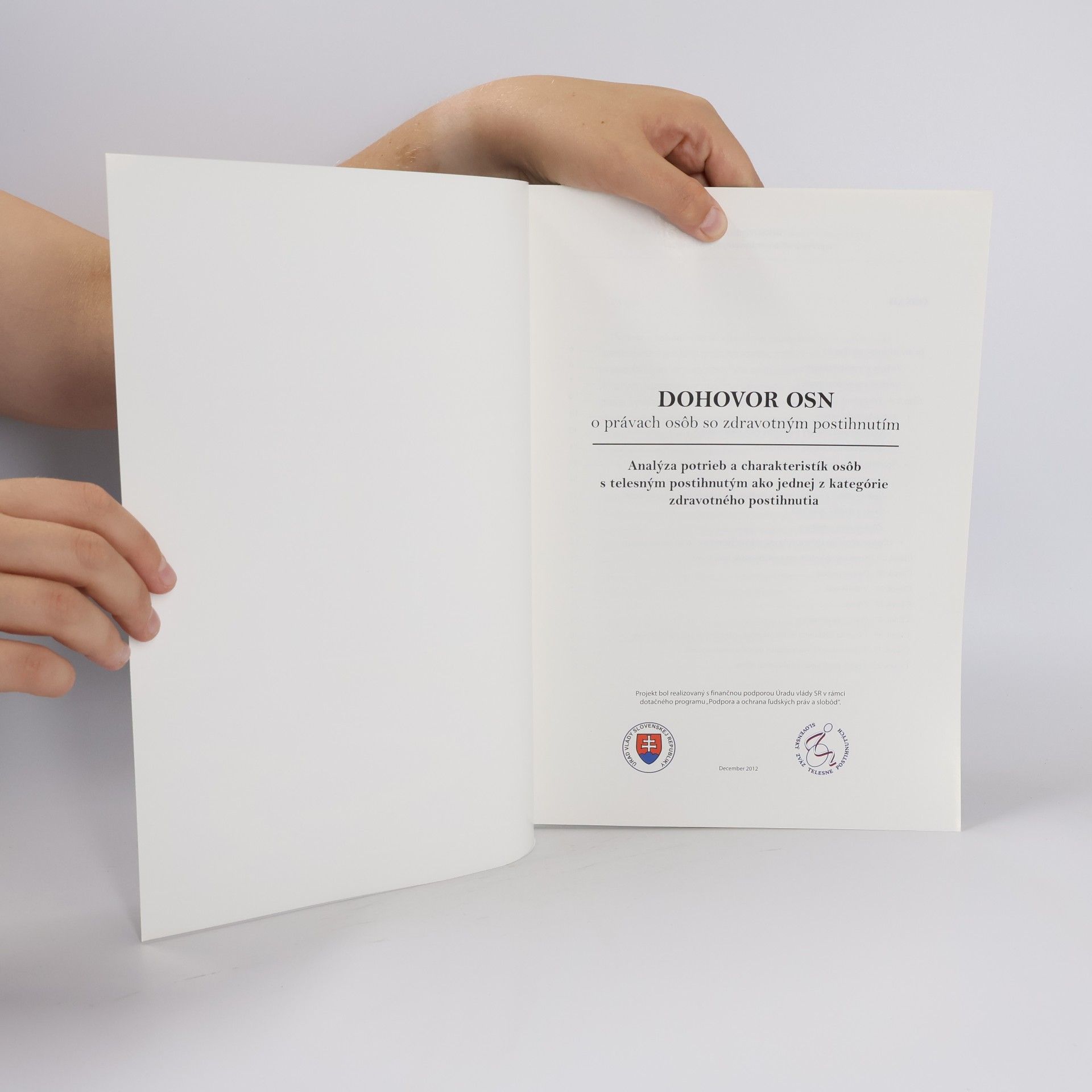 Autorenkollektiv Dohovor OSN o právach osôb so zdravotným postihnutím