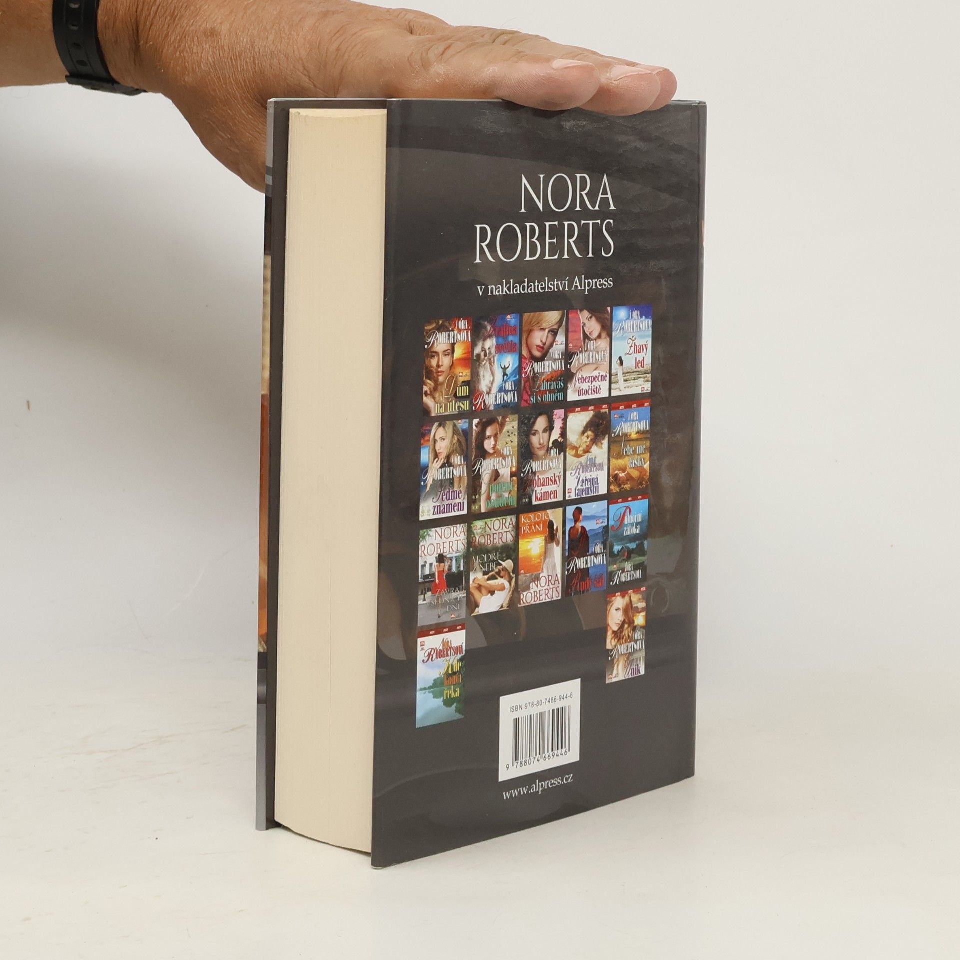 Nora Roberts Kdo chce víc