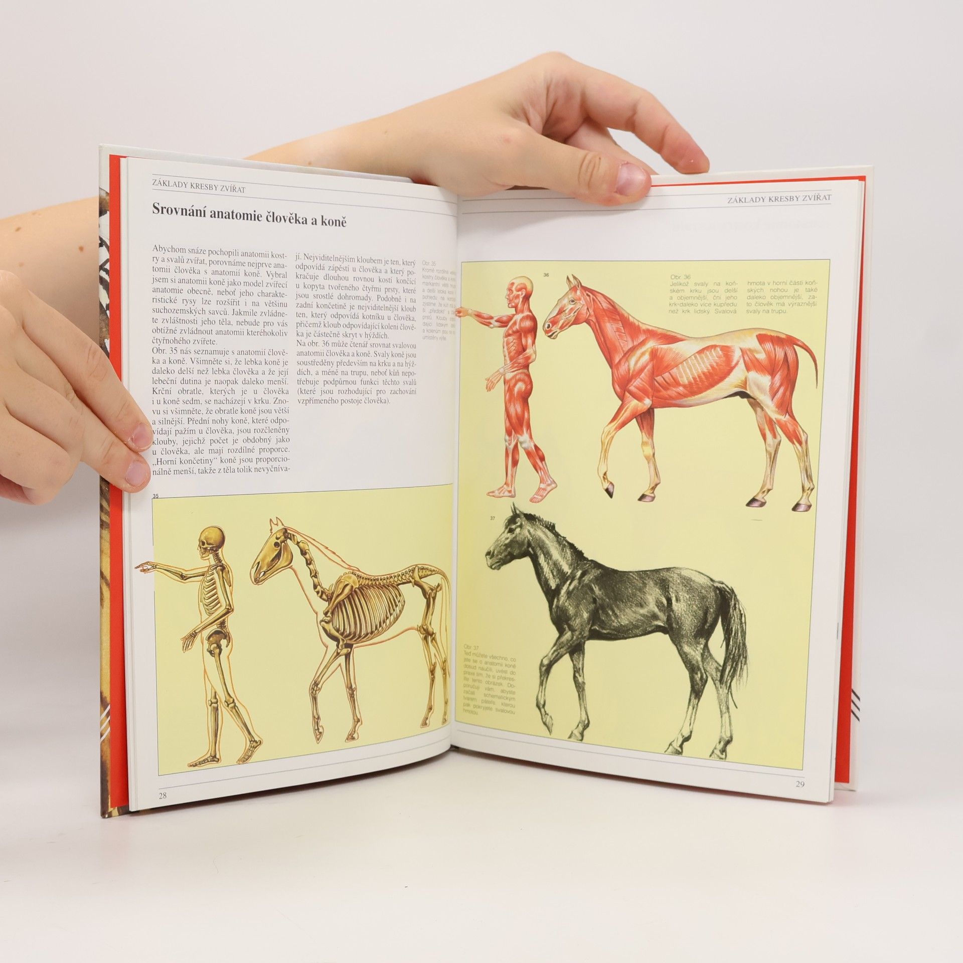 José María Parramón Jak malovat zvířata
