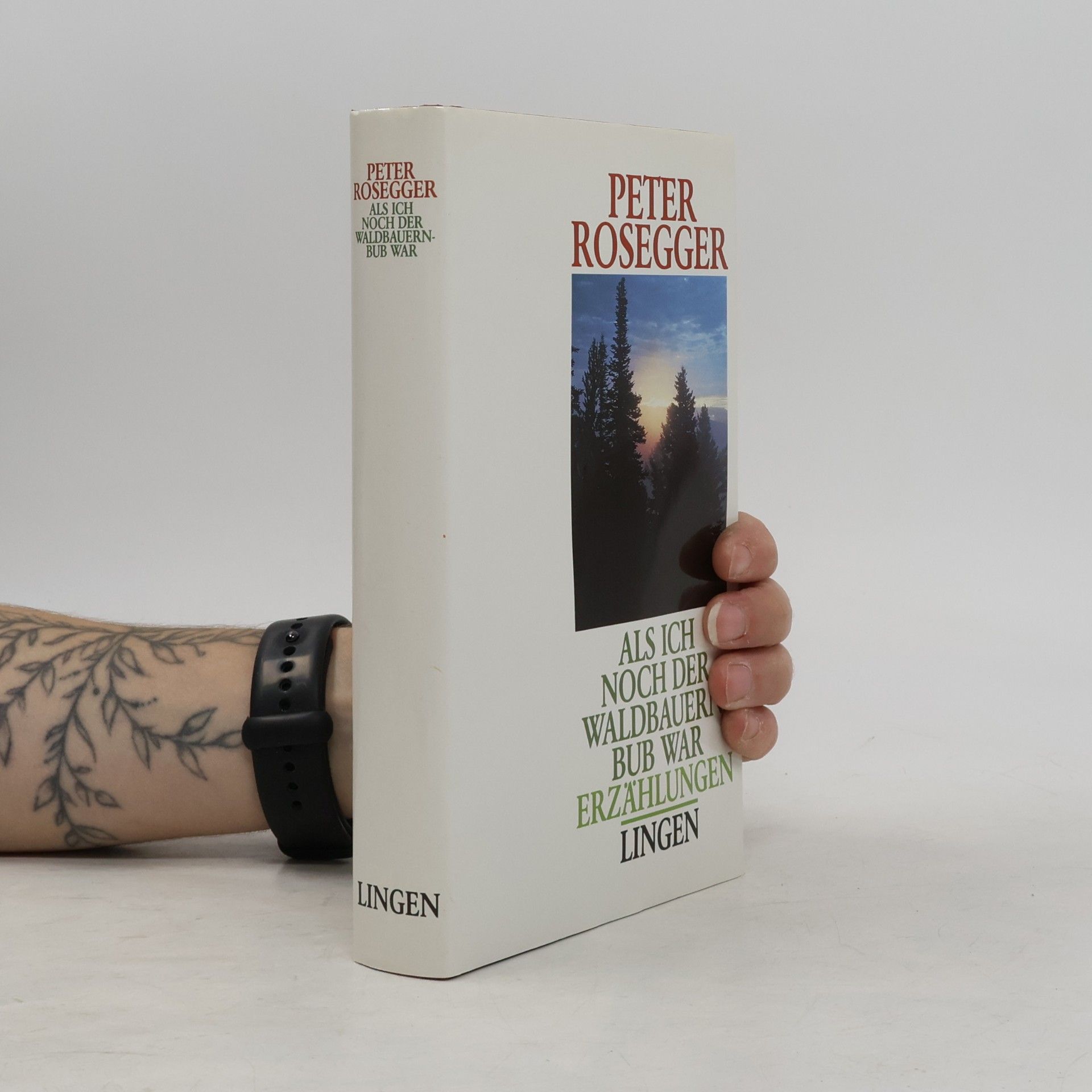 Peter Rosegger Als ich noch der Waldbauernbub war