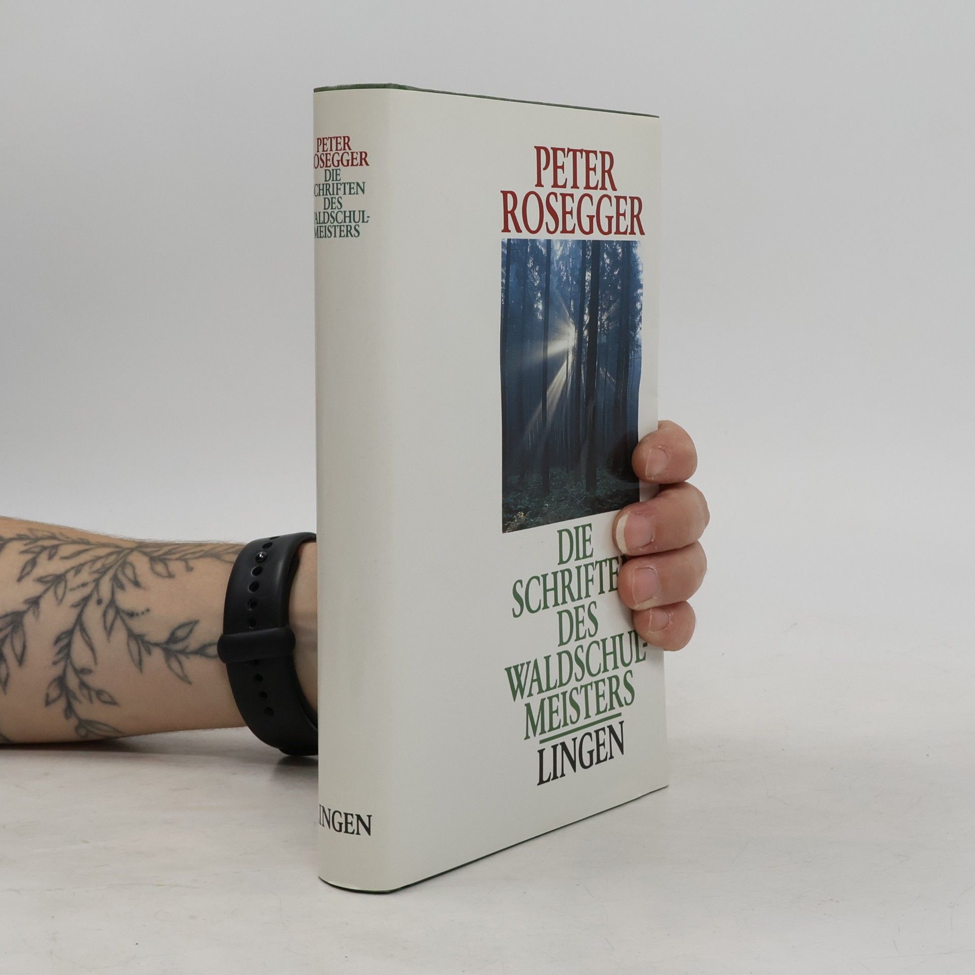 Peter Rosegger Die Schriften des Waldschulmeisters