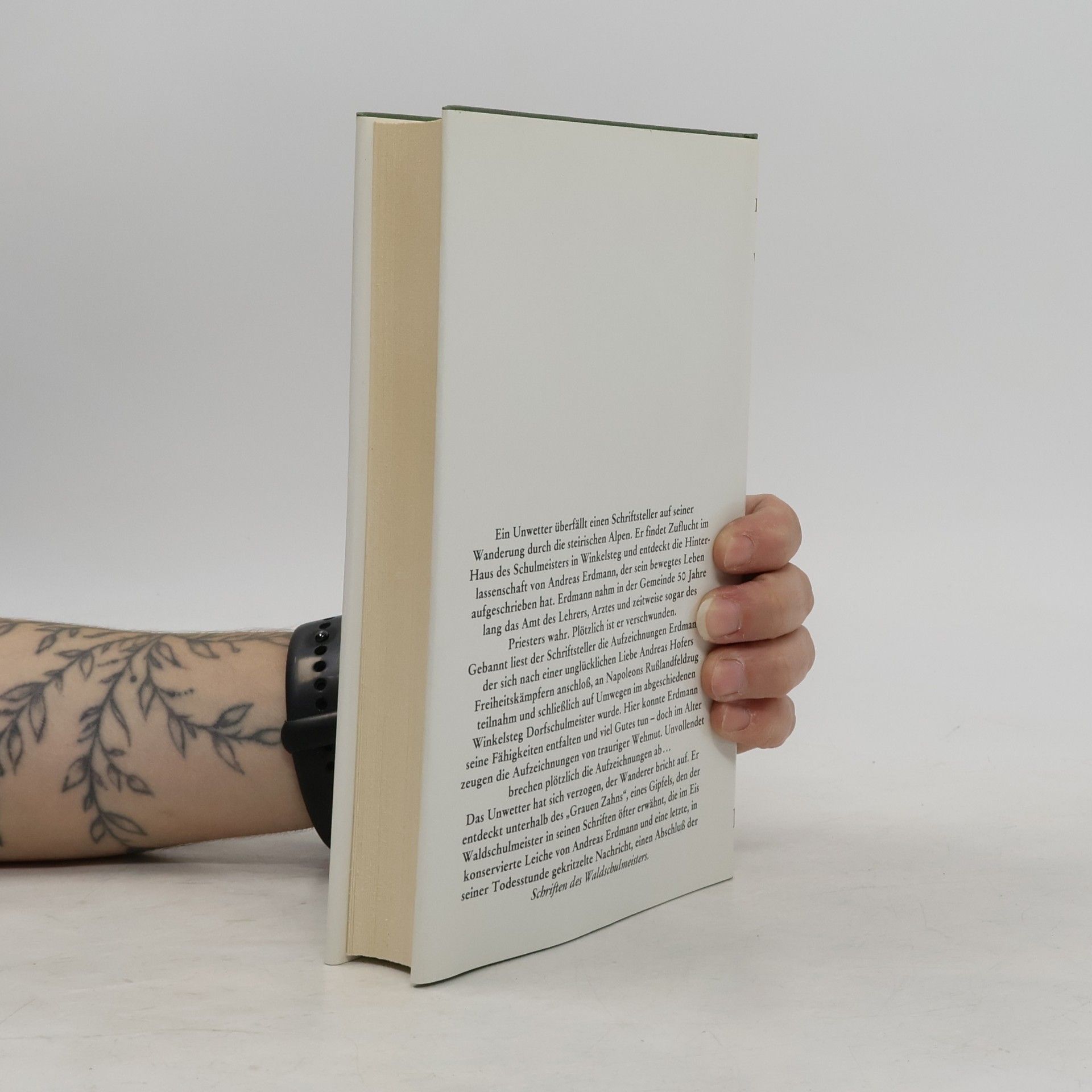 Peter Rosegger Die Schriften des Waldschulmeisters