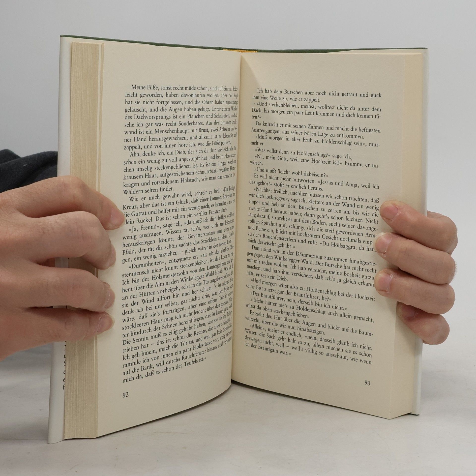 Peter Rosegger Die Schriften des Waldschulmeisters