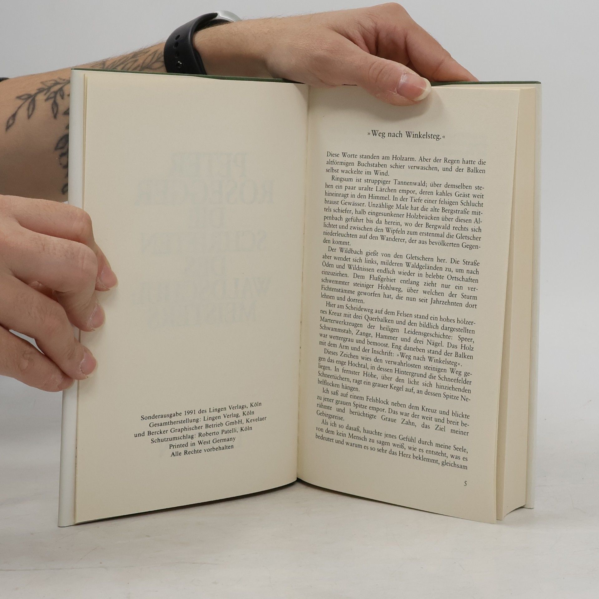 Peter Rosegger Die Schriften des Waldschulmeisters