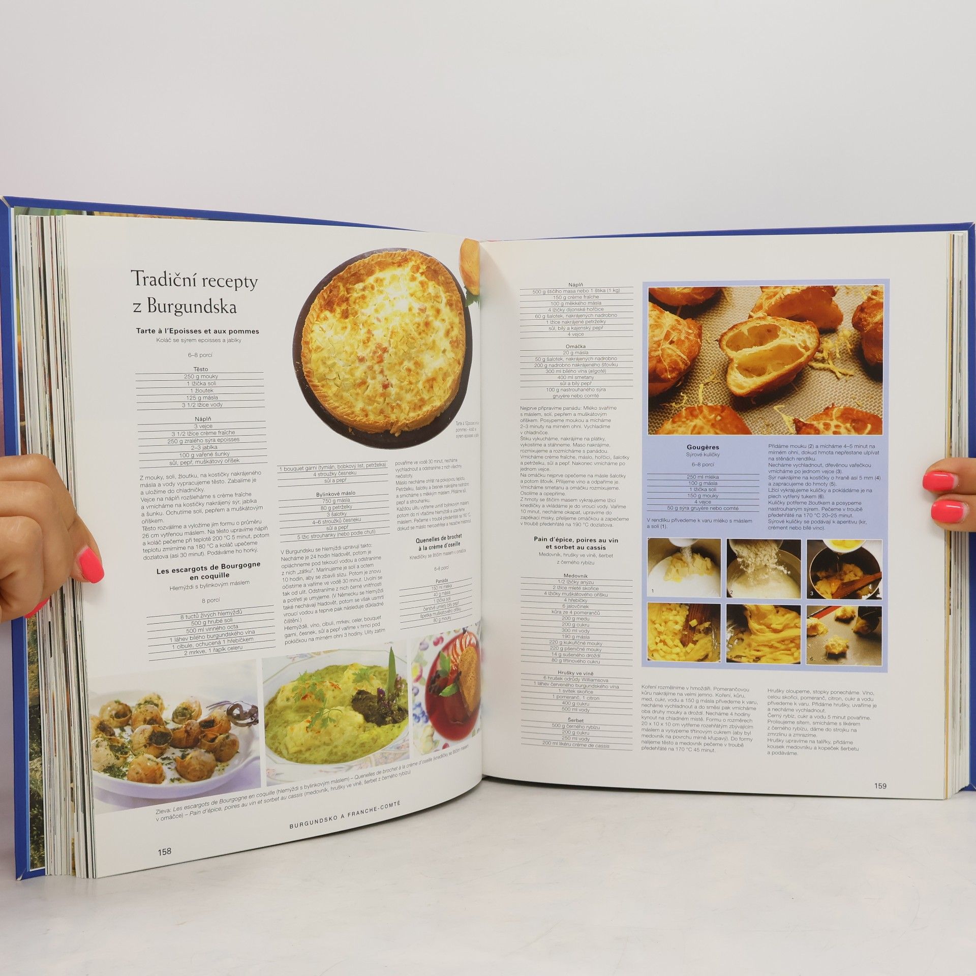 André Dominé Culinaria Francie
