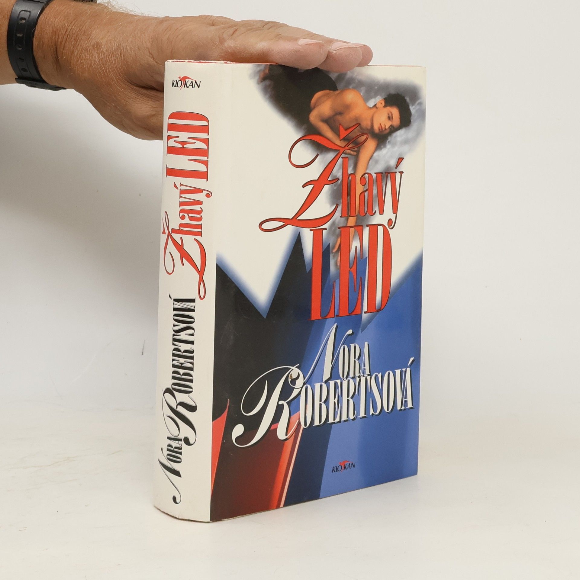 Nora Roberts Žhavý led