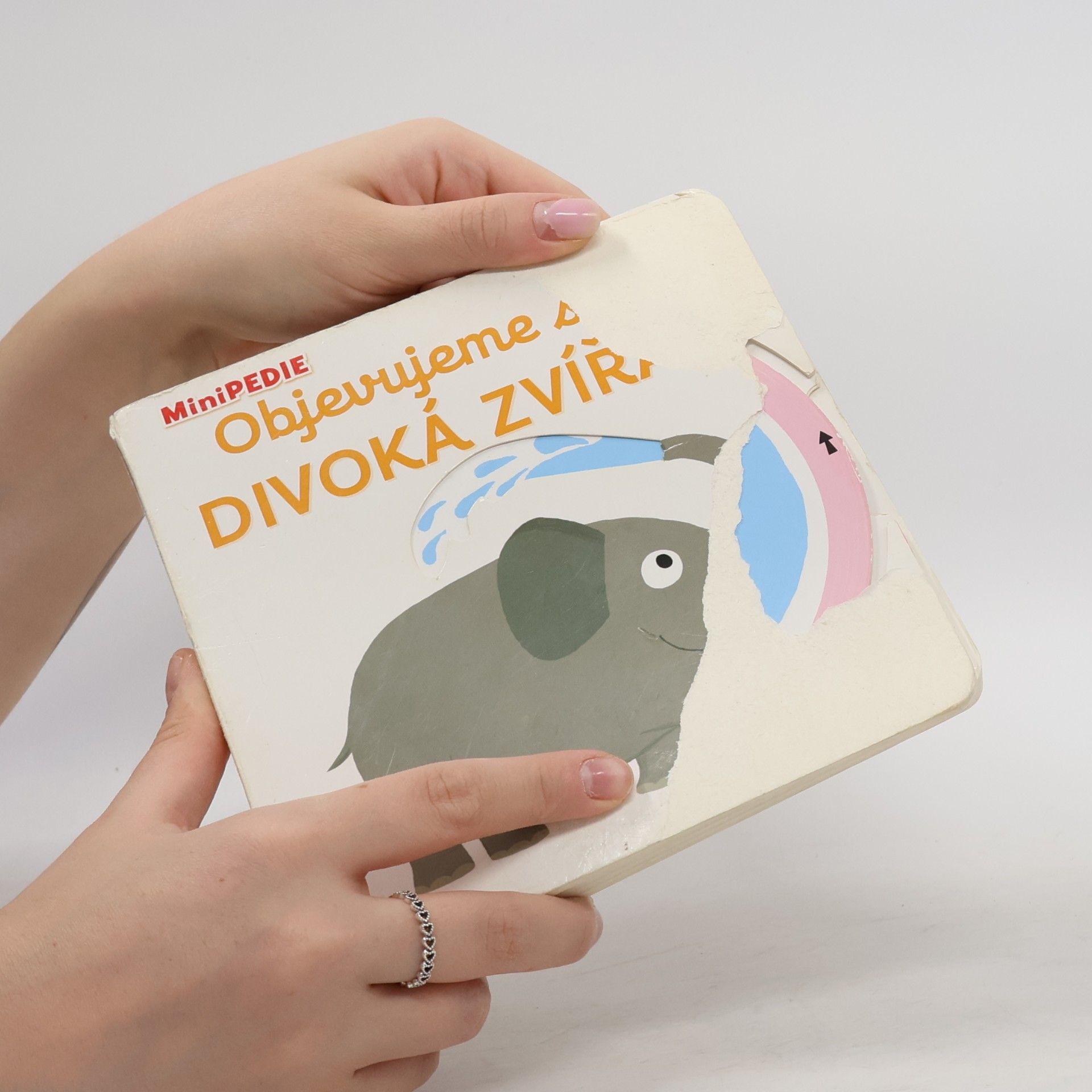 Nathalie Choux Objevujeme svět! Divoká zvířata