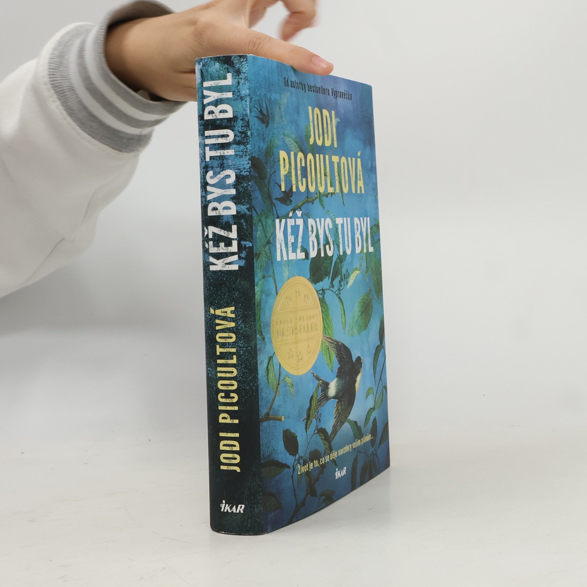 Jodi Picoult Kéž bys tu byl