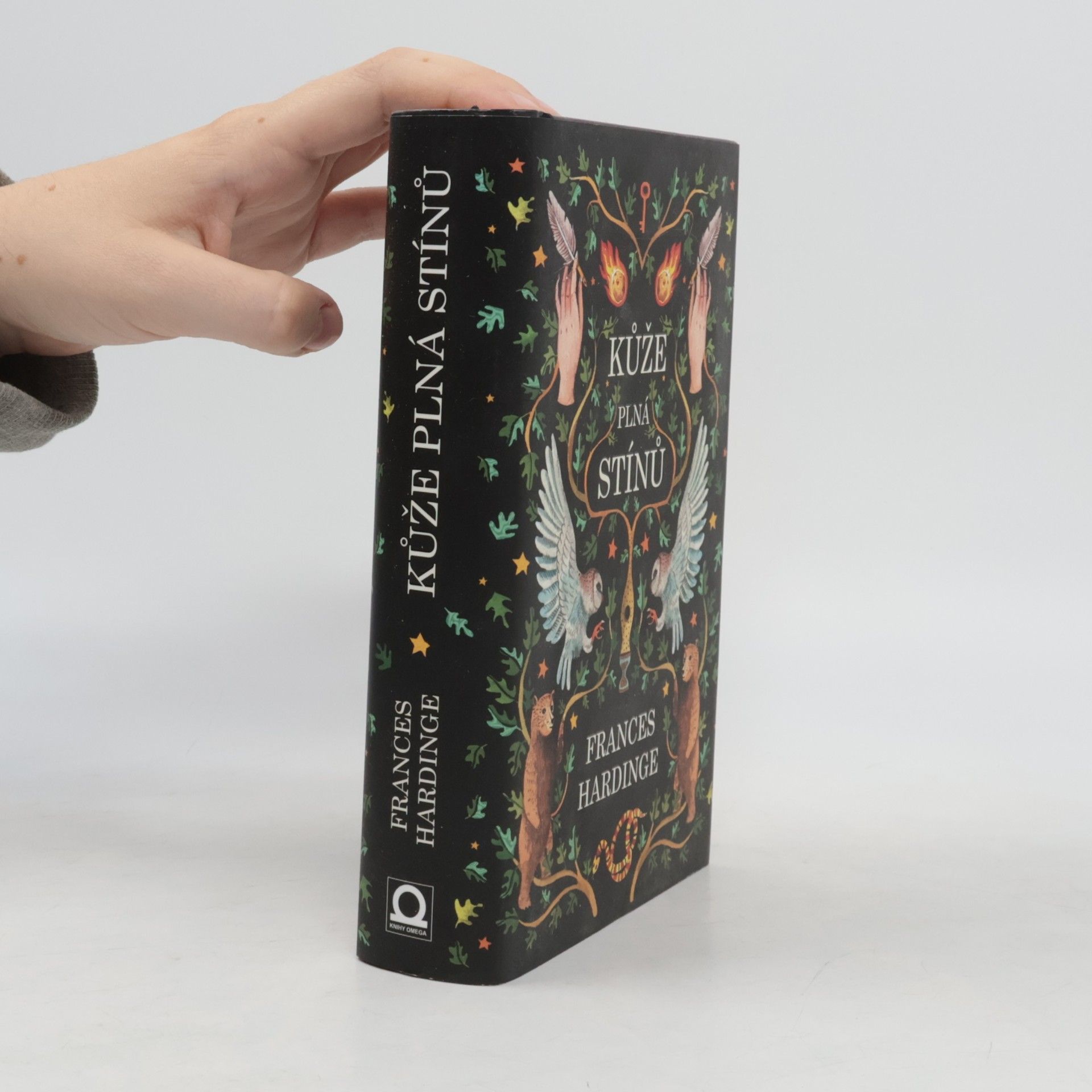 Frances Hardinge Kůže plná stínů