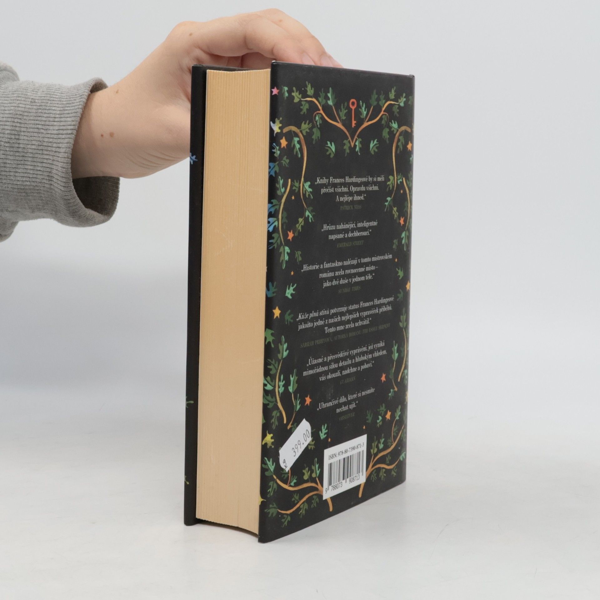 Frances Hardinge Kůže plná stínů