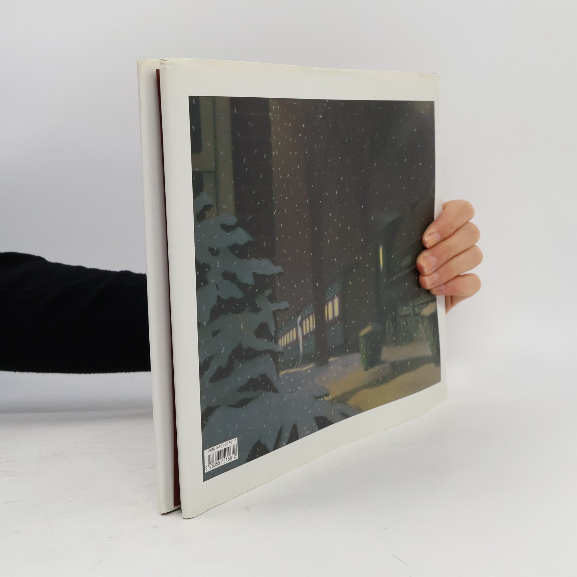 Chris Van Allsburg Der Polarexpress