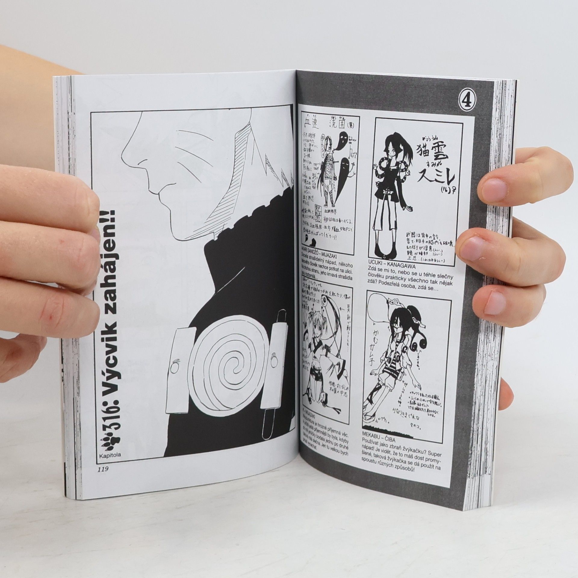 Masashi Kishimoto Naruto. 35 díl, Nová dvojka!!