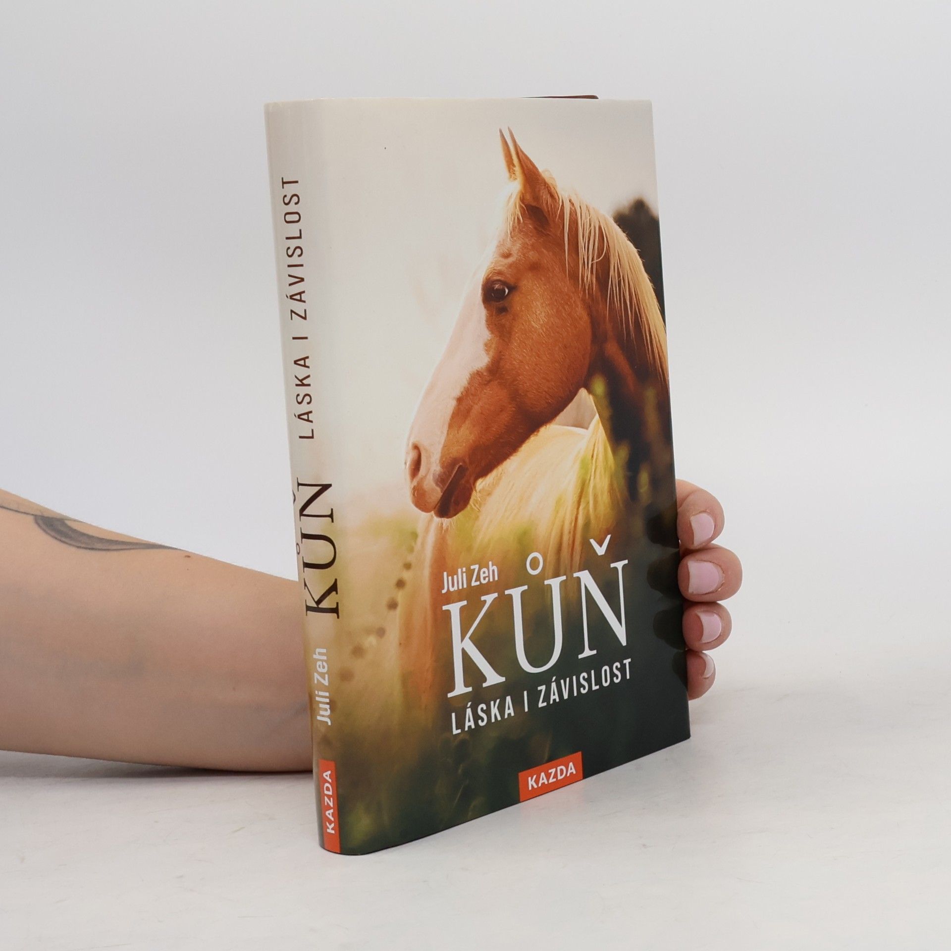 Juli Zeh Kůň : láska i závislost