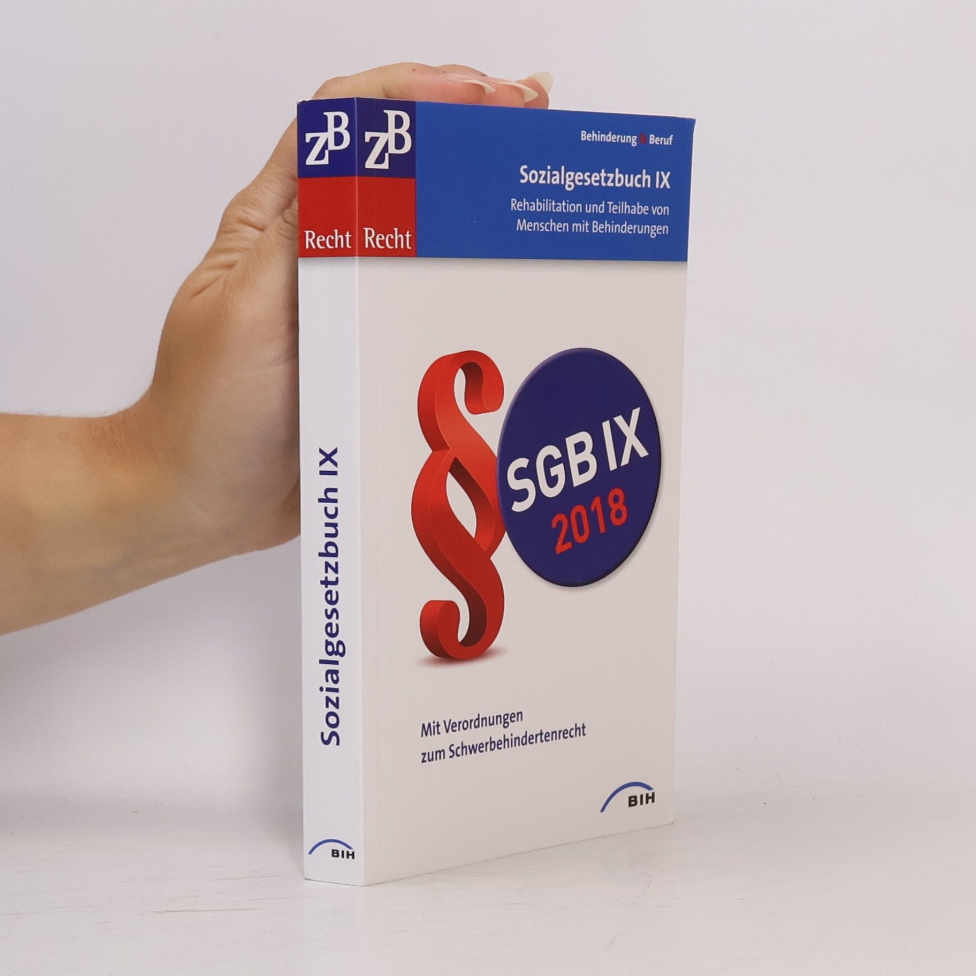 Autorenkollektiv Sozialgesetzbuch IX