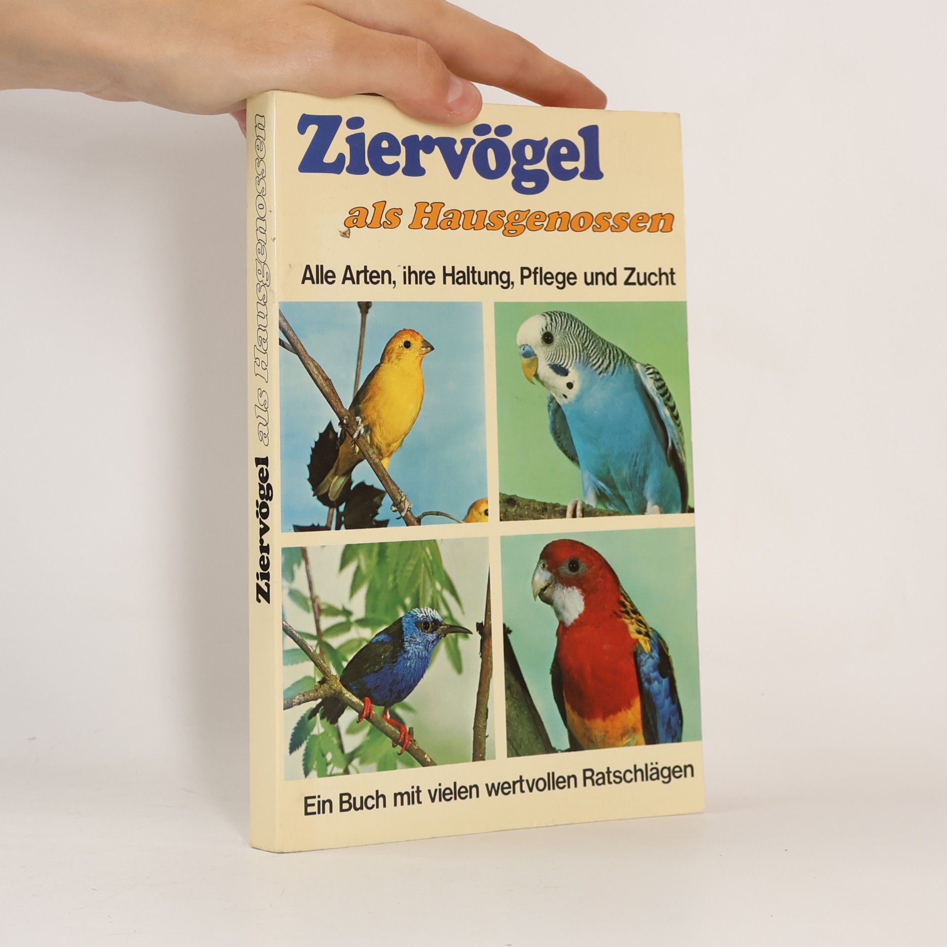 kolektiv Ziervögel als Hausgenossen