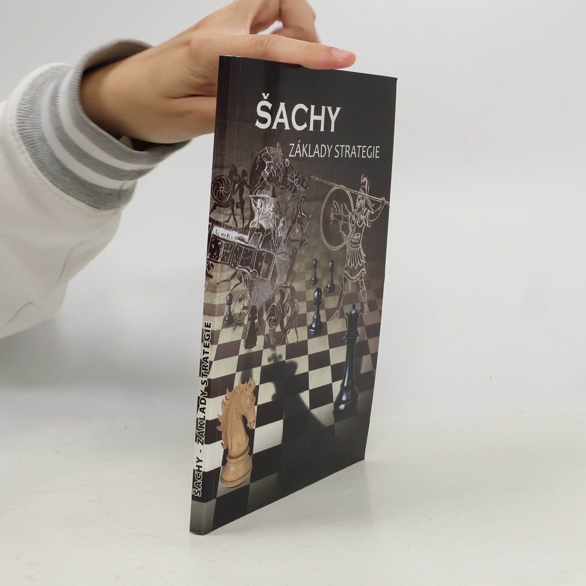 Pavel Šimáček Šachy - Základy strategie